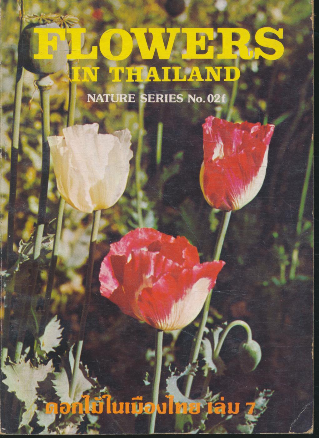 FLOWERS IN THAILAND VOL.7 ดอกไม้ในเมืองไทย เล่ม 7 ภาพประกอบสีทั้งเล่ม กระดาษมัน