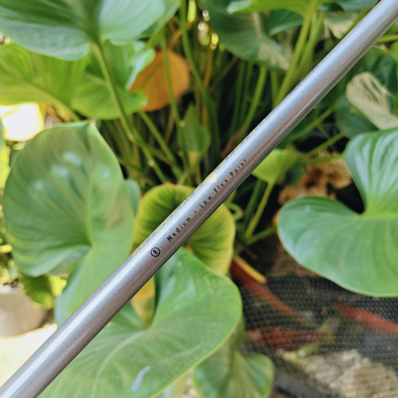 ชุดเหล็ก KING COBRA OVERSIZE ⛳ ครบเซตตีง่าย ฟีลนุ่ม เหมาะทั้งมือใหม่และผู้เล่นที่ต้องการความมั่นใจ!