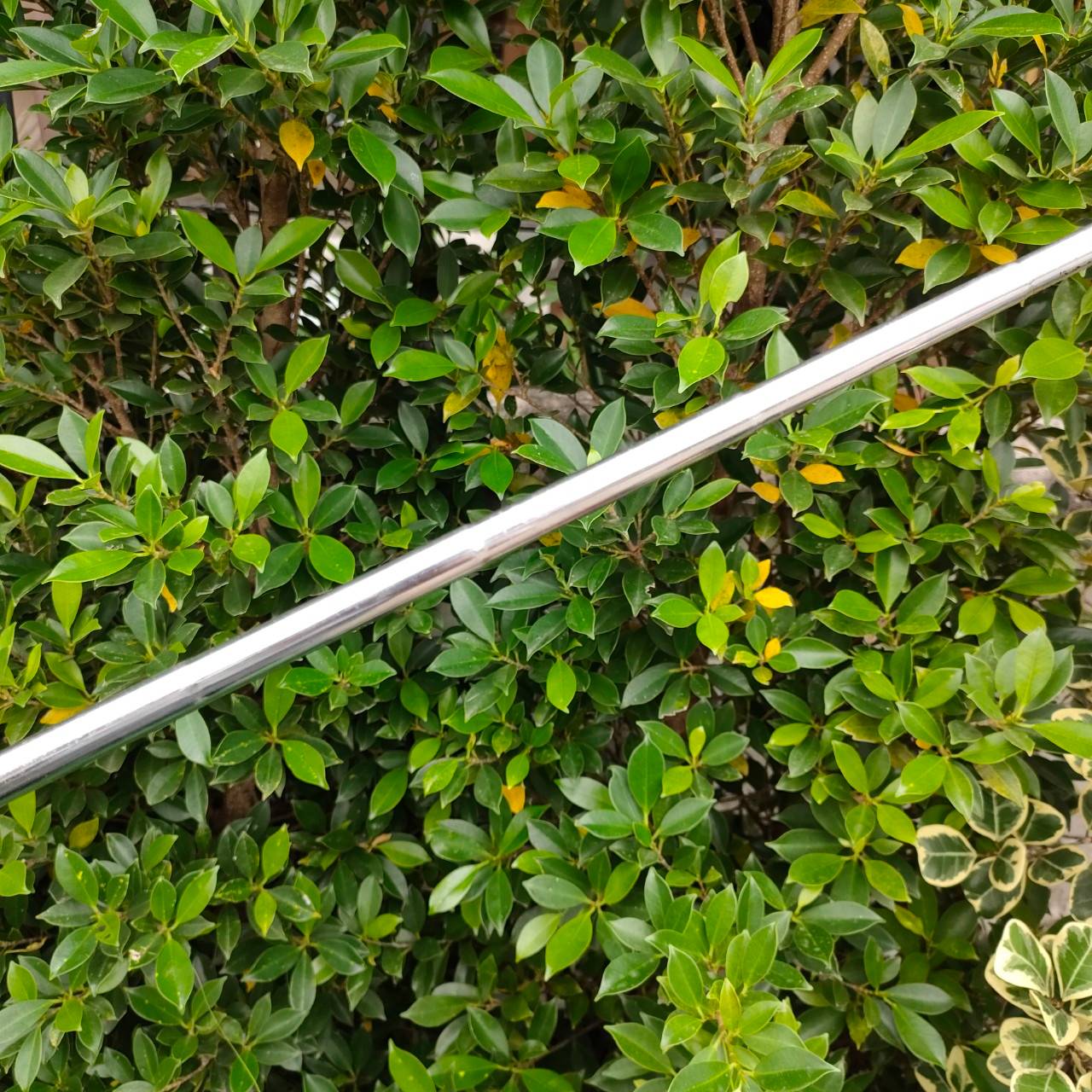 PUTTER PING B60 ความยาว 33 นิ้ว ทรงมอลเล็ตรุ่นแรกๆ ที่ได้รับความนิยมสูงสุด