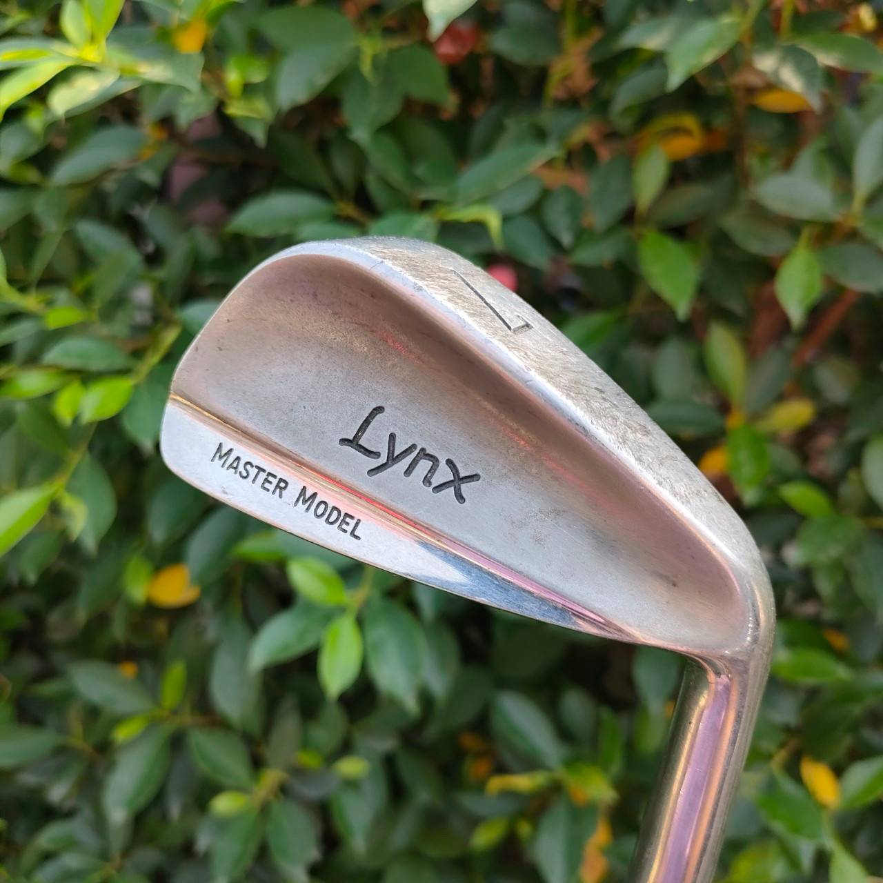 เหล็ก7 LYNX MASTER MODEL ก้าน กราไฟต์ FLEX R เหล็กครู ที่ทุกท่านต้องใช้ โดยเฉพาะผู้ฝึกเล่นกอล์ฟพลาดไม่ได้