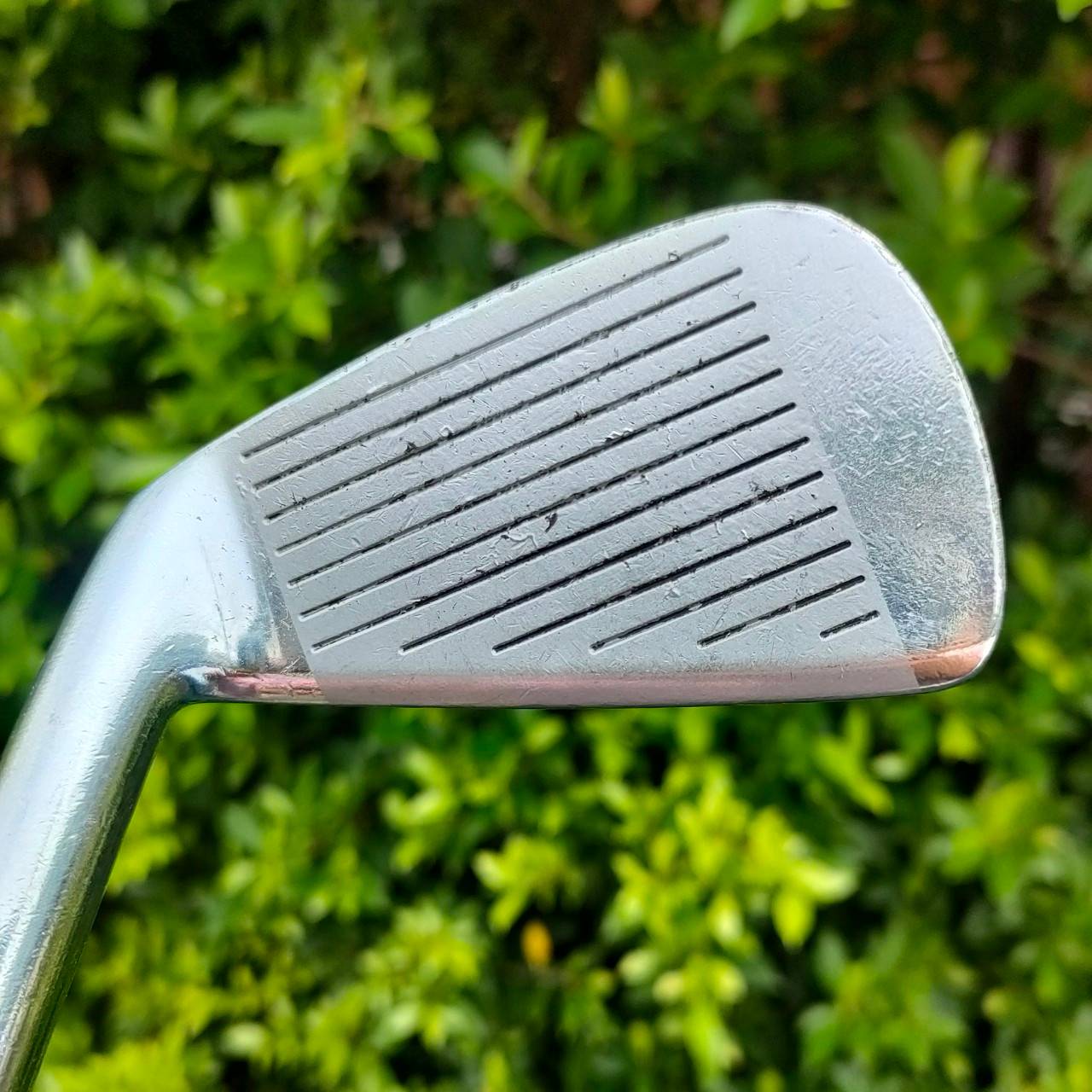 ชุดเหล็ก HONMA CL -708 มีเหล็ก 5-10 ** ขาดเหล็ก 7 ** ก้าน EXTRA 90 ก้านเบา 90 กรัม เหล็ก FORGED PREMIUM จาก HIRO HONMA JAPAN SAKATA ไม้กอล์ฟมือสอง ของแท้ BY NakaraLuxurious