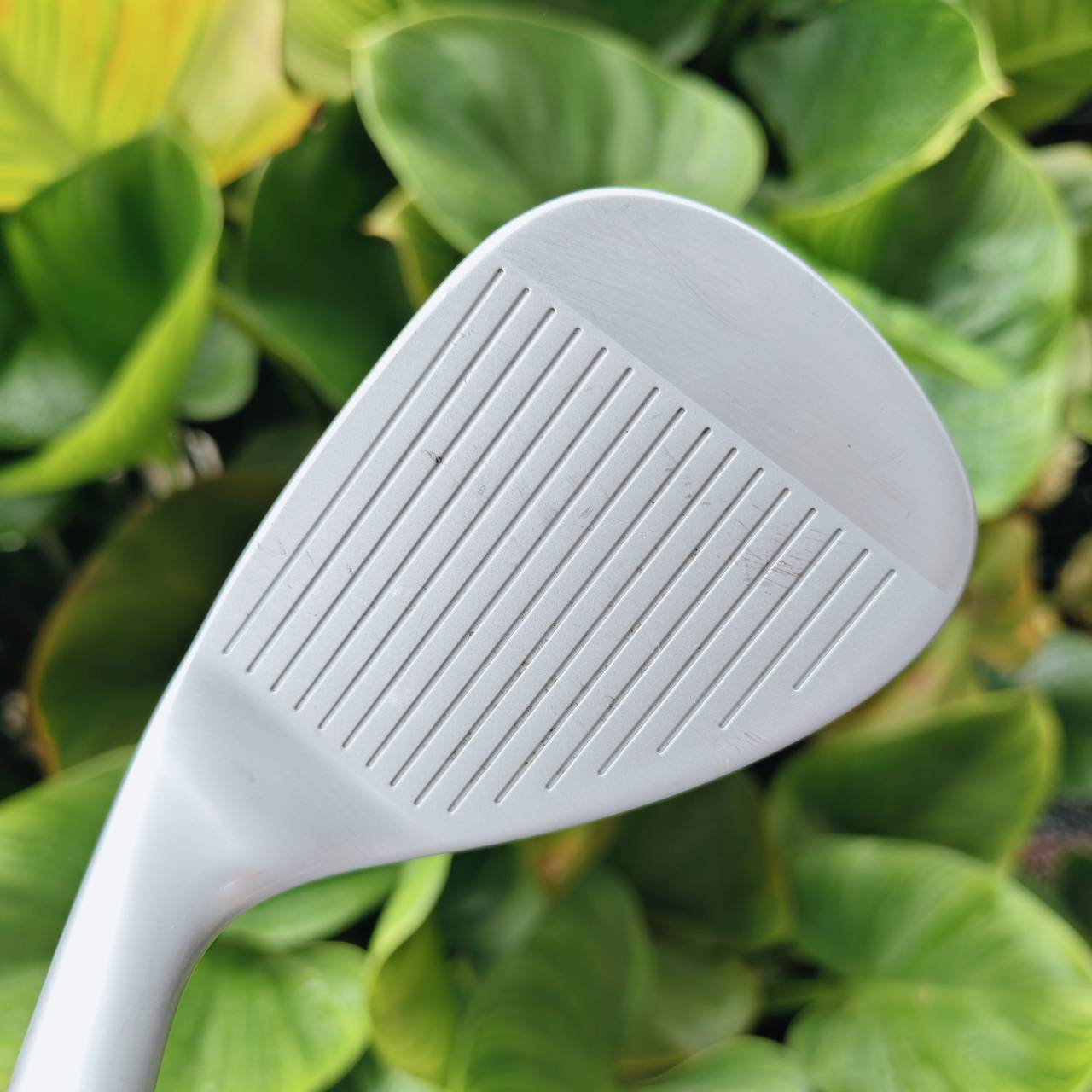 WEDGE NIKE SV T องศา 60 เบาท์ 10 T = Tour / Tour Grind เน้น ควบคุมลูกแม่นยำ, สปินสูง