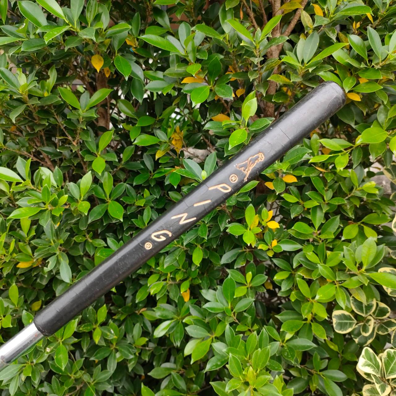 PUTTER PING B60 ความยาว 33 นิ้ว ทรงมอลเล็ตรุ่นแรกๆ ที่ได้รับความนิยมสูงสุด