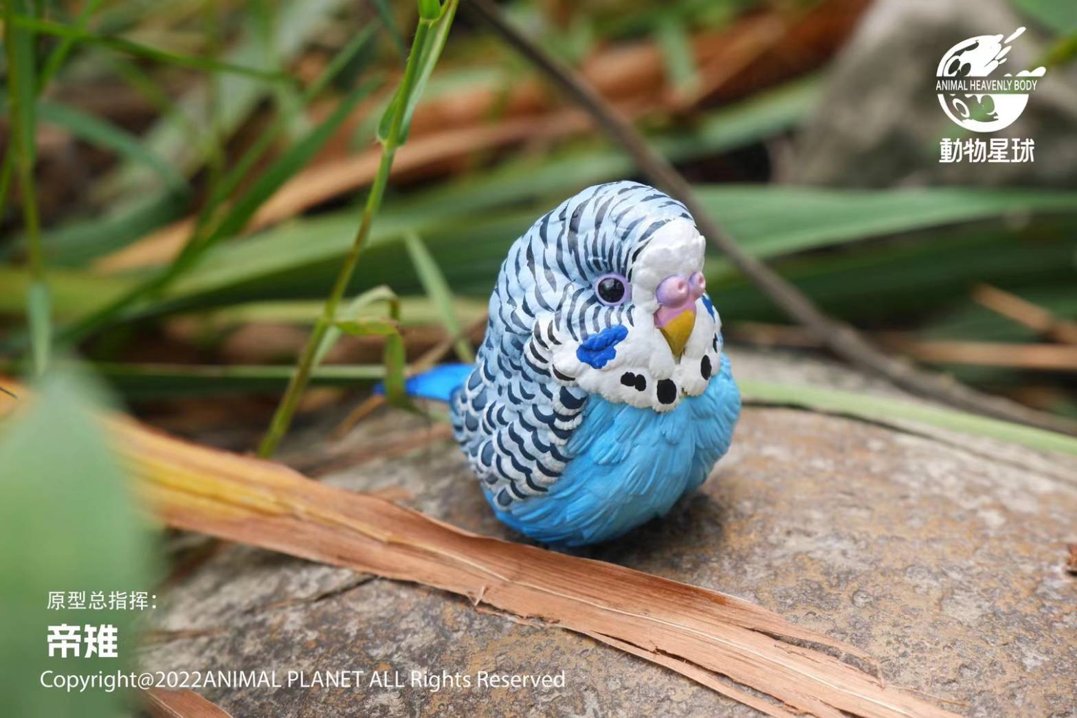 [สั่งจอง]Animal Planet : a series of laugh and grow fat No.10 -Bird