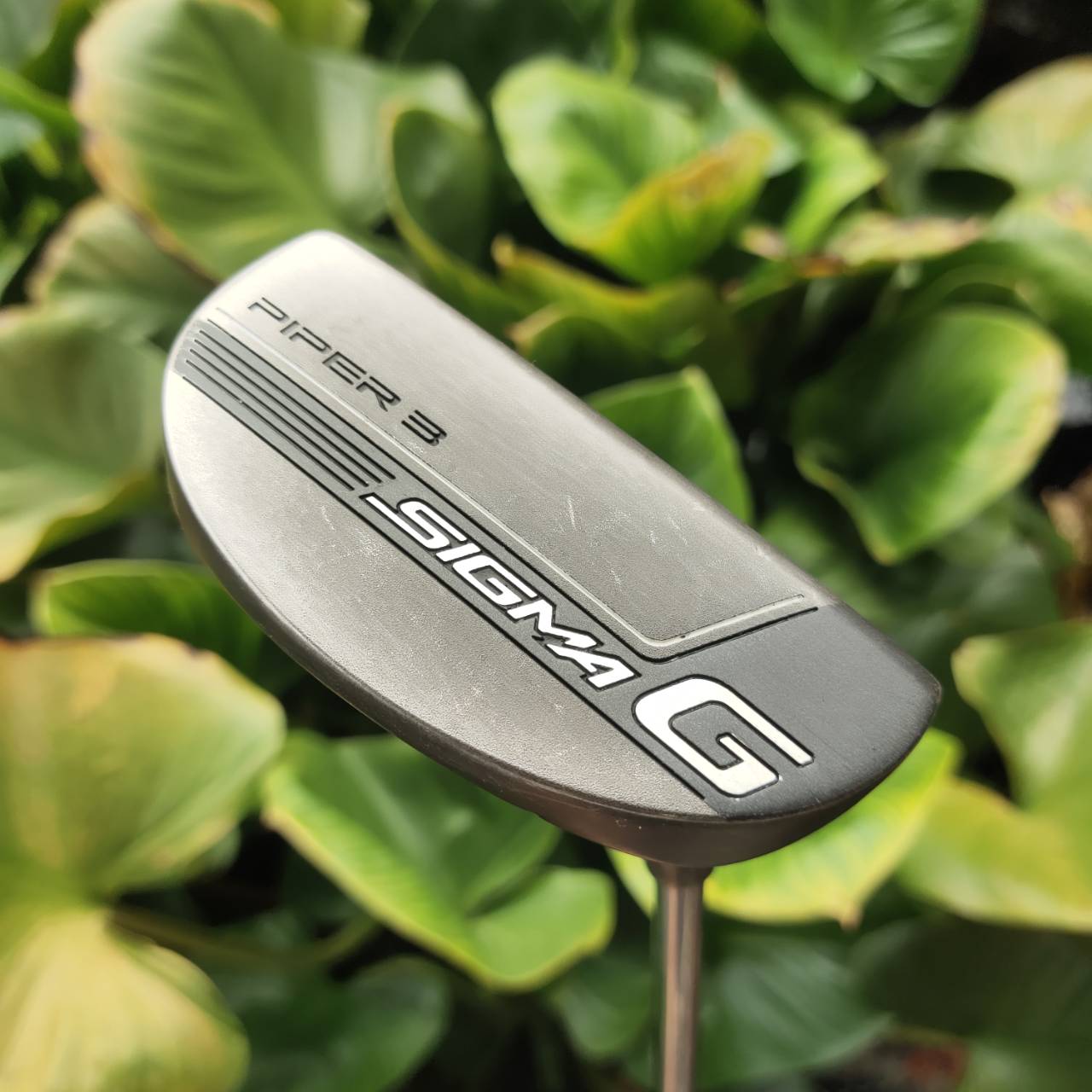 PUTTER PING SIGMA G PIPER3 หน้า PEBAX Insert + TR Face Technology ให้หน้าพัตต์นุ่ม แม่น ระยะคงที่