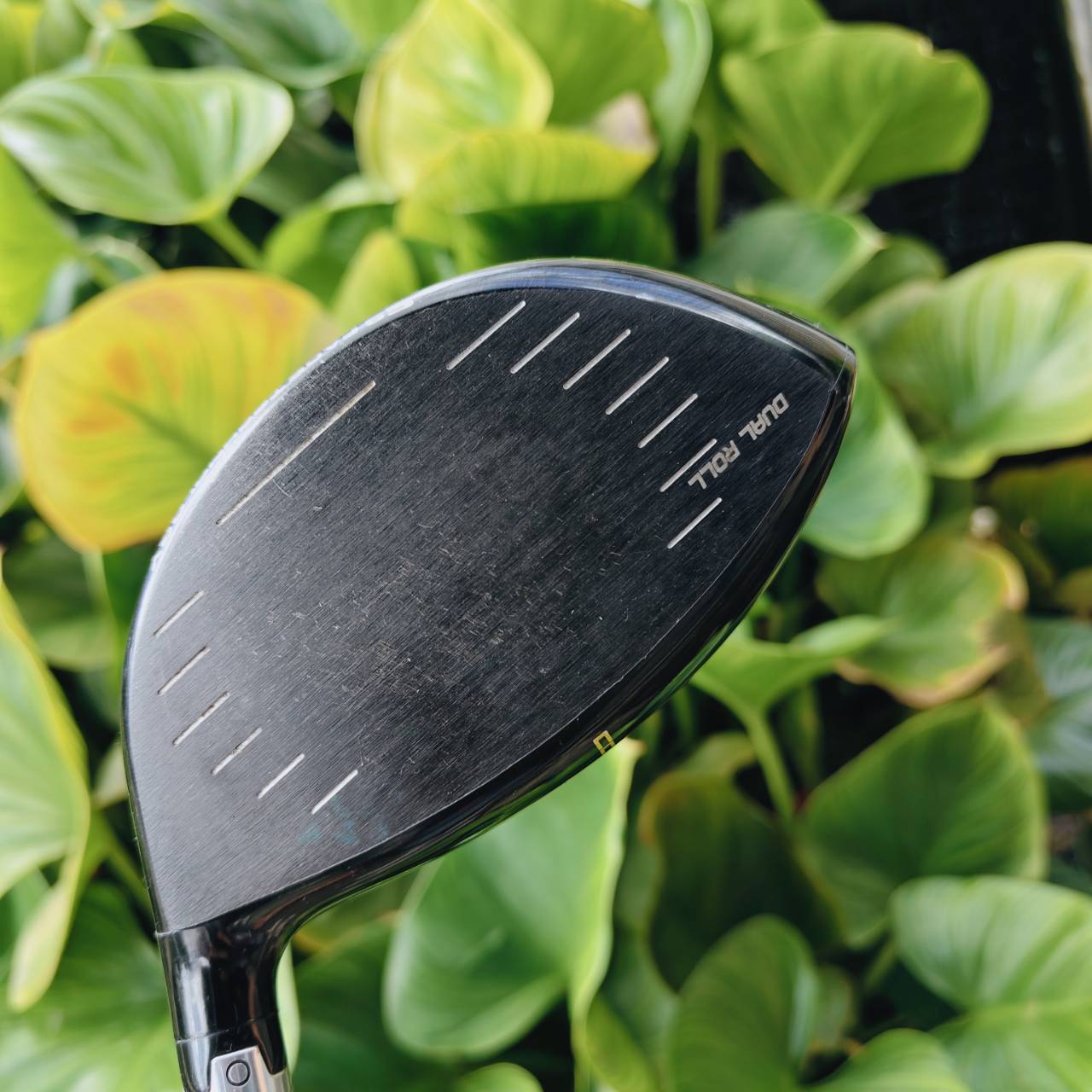 DRIVER NEW ZL ENCORE – โฉบเฉี่ยว ล้ำสมัย และเต็มไปด้วยสีสัน!