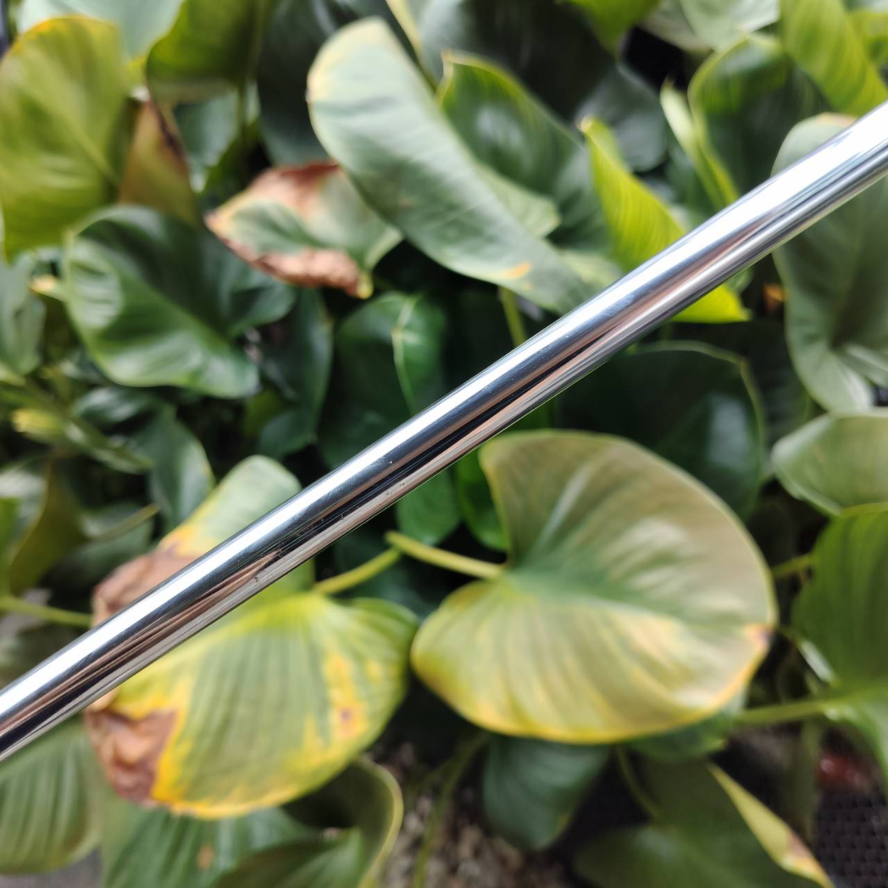 FULLSET HIPPO HIPTEC เป็นรุ่นที่ดีที่สุดของ HIPPO ตีดีมาก ตีง่ายตีไกลค่ะ!!! หัวไม้ได้ถึง 4 หัว ไม้กอล์ฟพรีเมี่ยมมือสอง ของแท้ By NakaraLuxurious