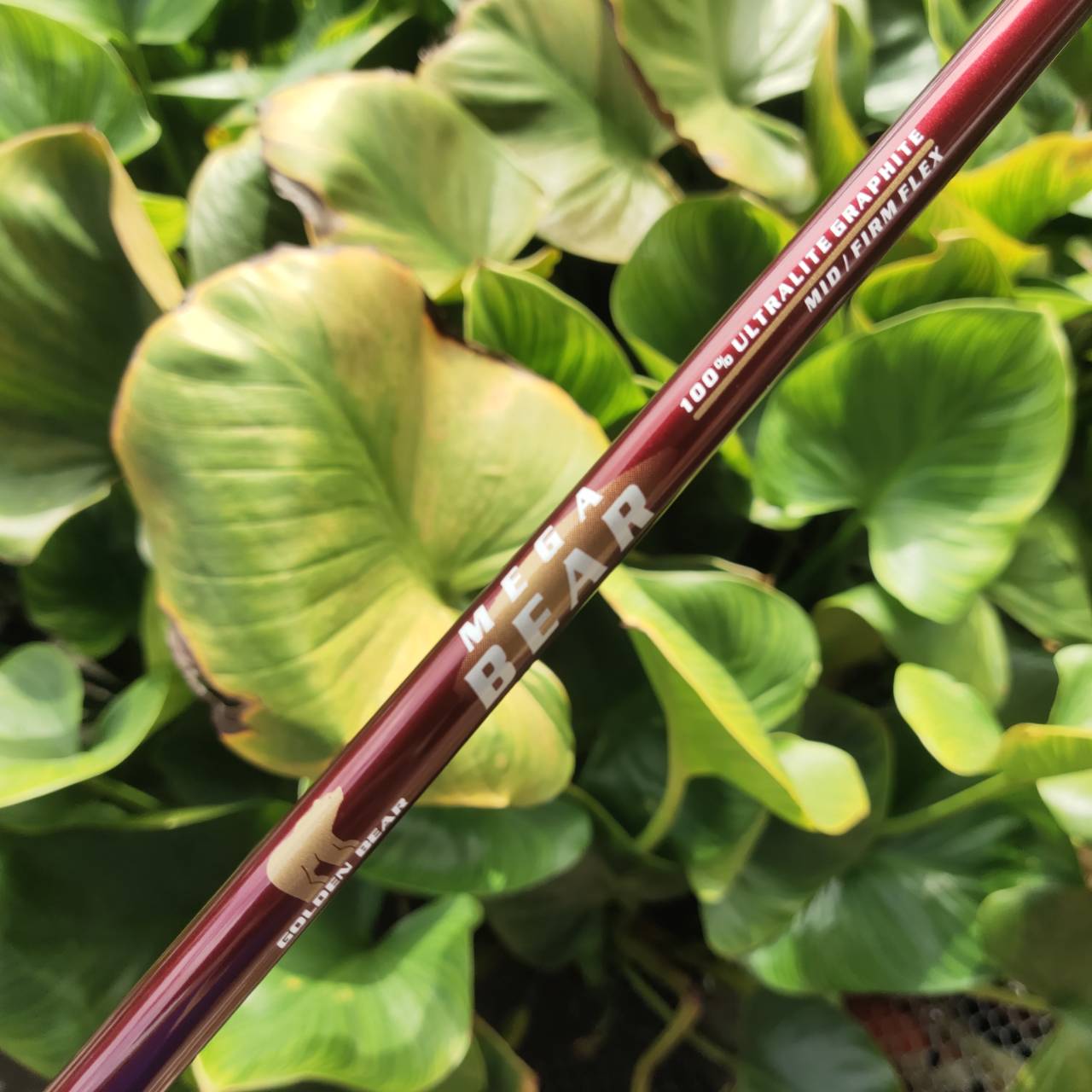 ไม้กอล์ฟครบชุด GOLDEN BEAR MEGA BEAR หมีทองผู้ยิ่งใหญ่แห่งวงการกอล์ฟ