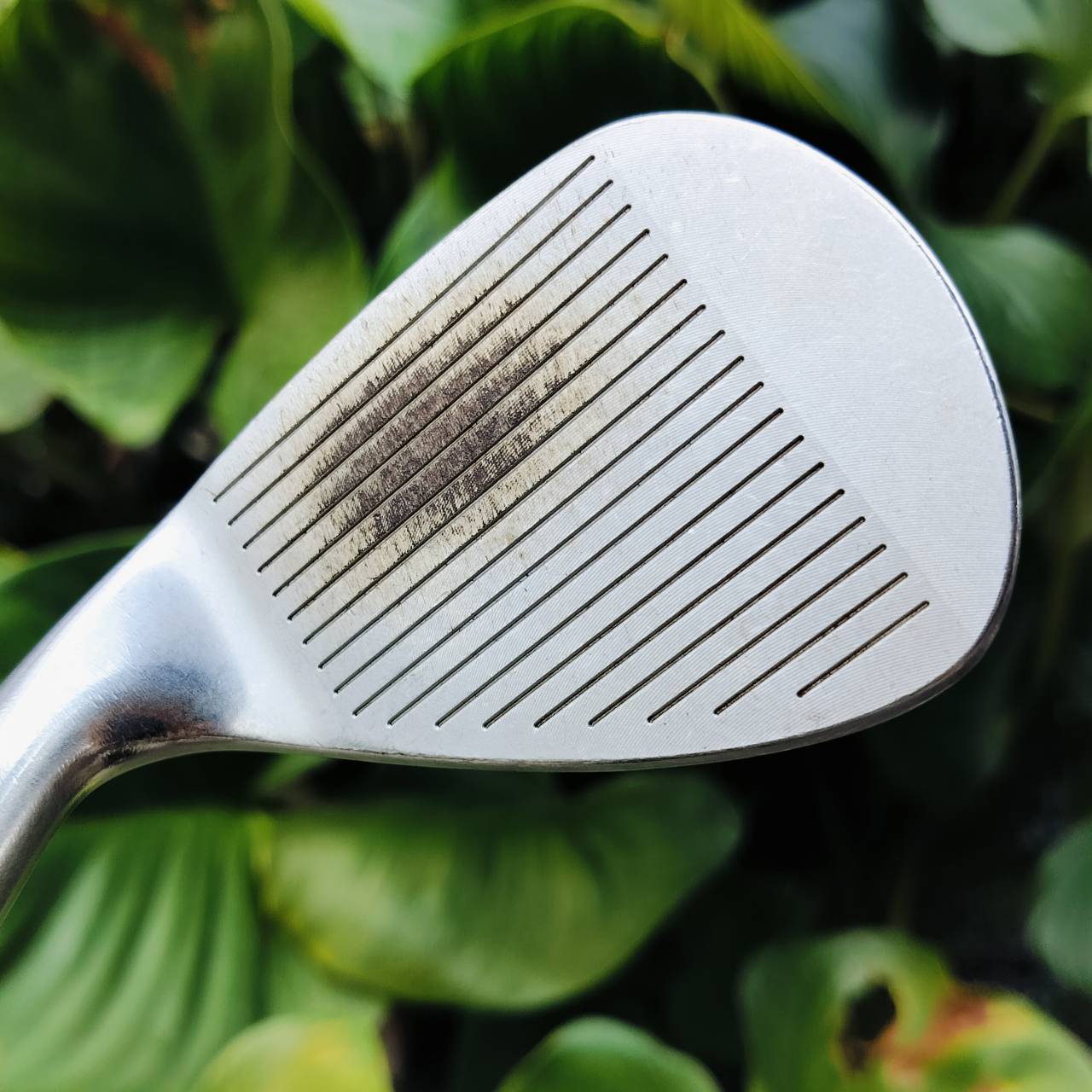 Dolphin Wedge DW-123 องศา 50 ก้าน WEDGE โดนเฉพาะ ผลิตที่ SANUKI JAPAN พรีเมี่ยมมาก ไม้กอล์ฟพรีเมี่ยมมือสอง ของแท้ By NakaraLuxurious