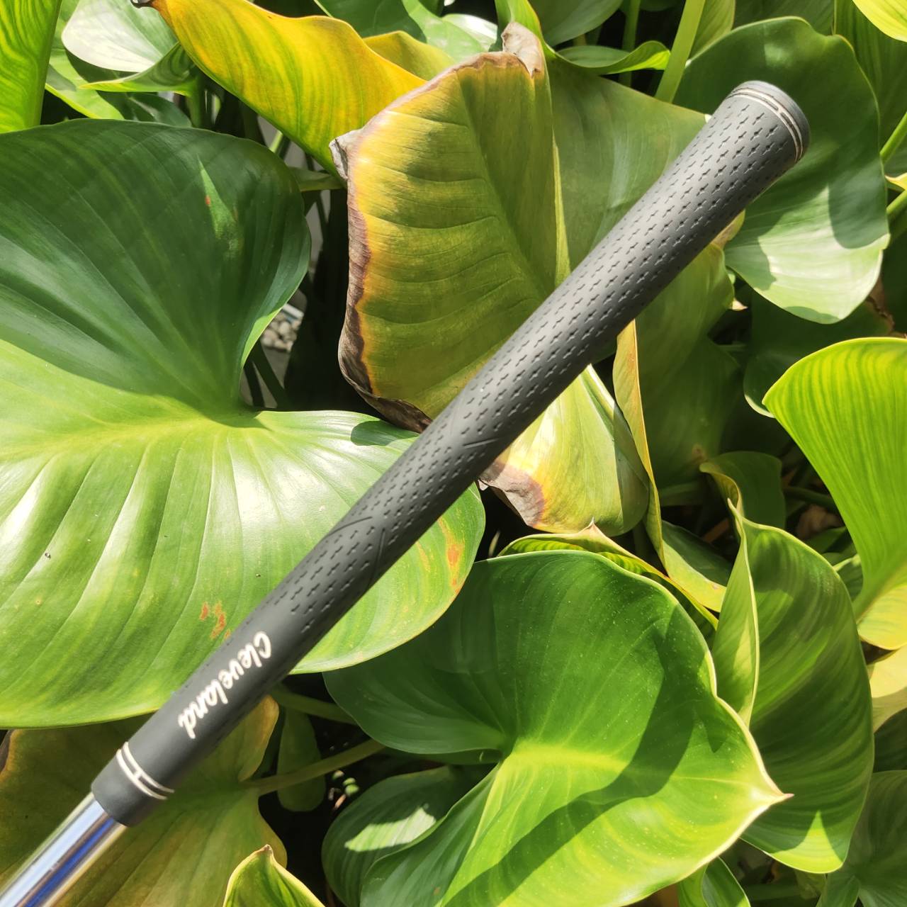 WEDGE Cleveland CG10 54° Low Bounce หน้าไม้ Carbon Metal Matrix ให้ฟีลนุ่ม และสร้างสปินสูง