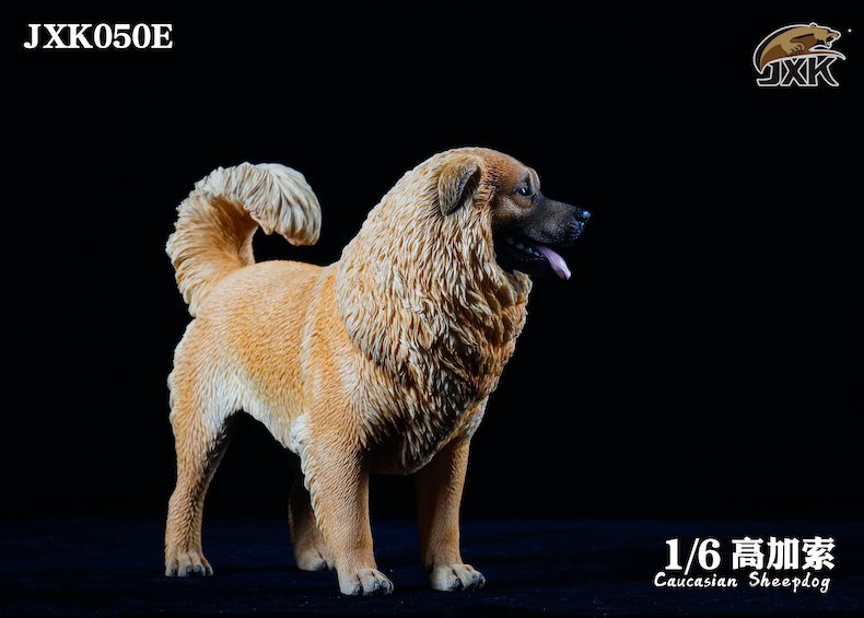 [สั่งจอง]JXK JXK050 1/6 : Caucasian Sheepdog
