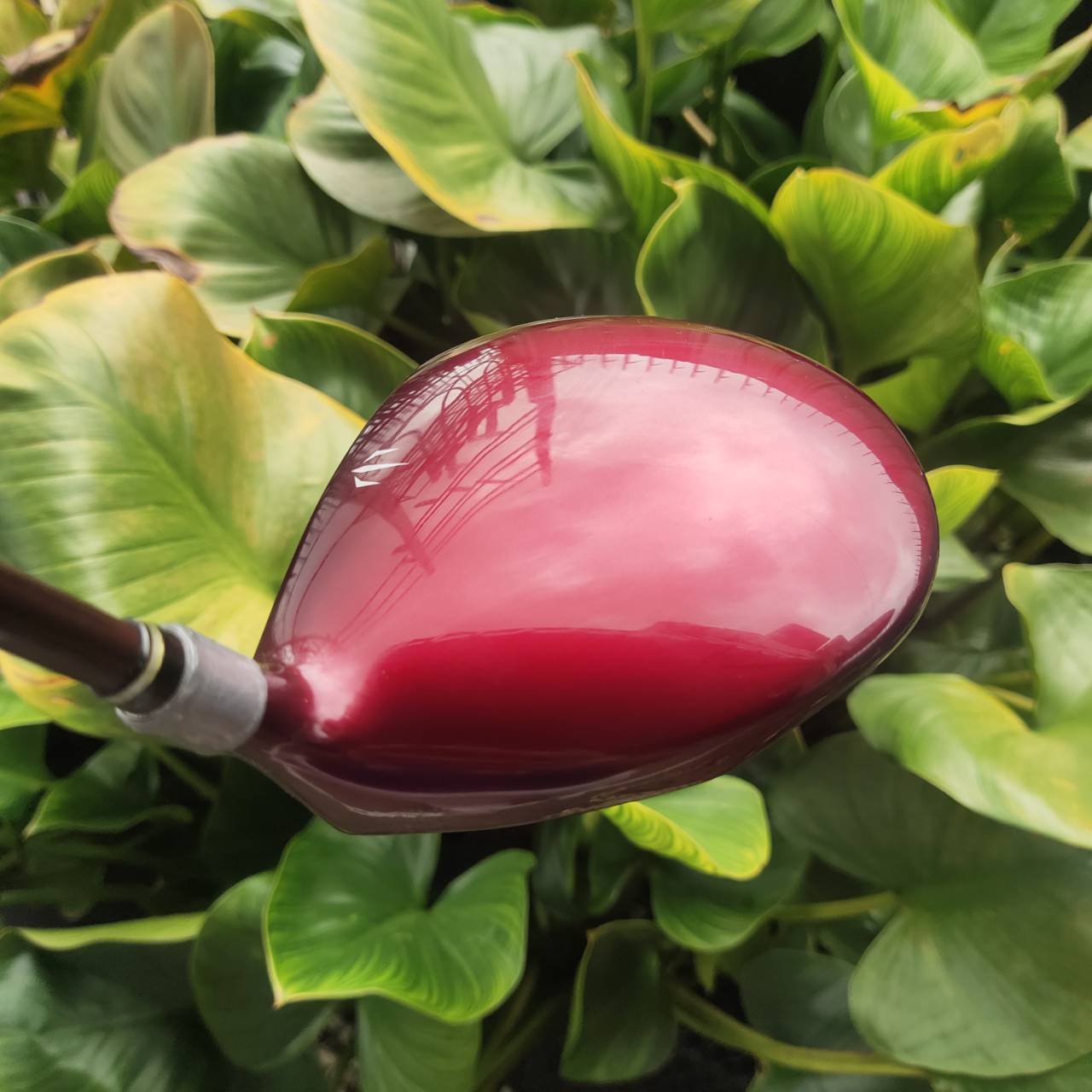 KASCO D-MAX PYRA LADY 11.5° Driver สำหรับคุณผู้หญิงที่อยากตีไกลขึ้นแบบ effortless!