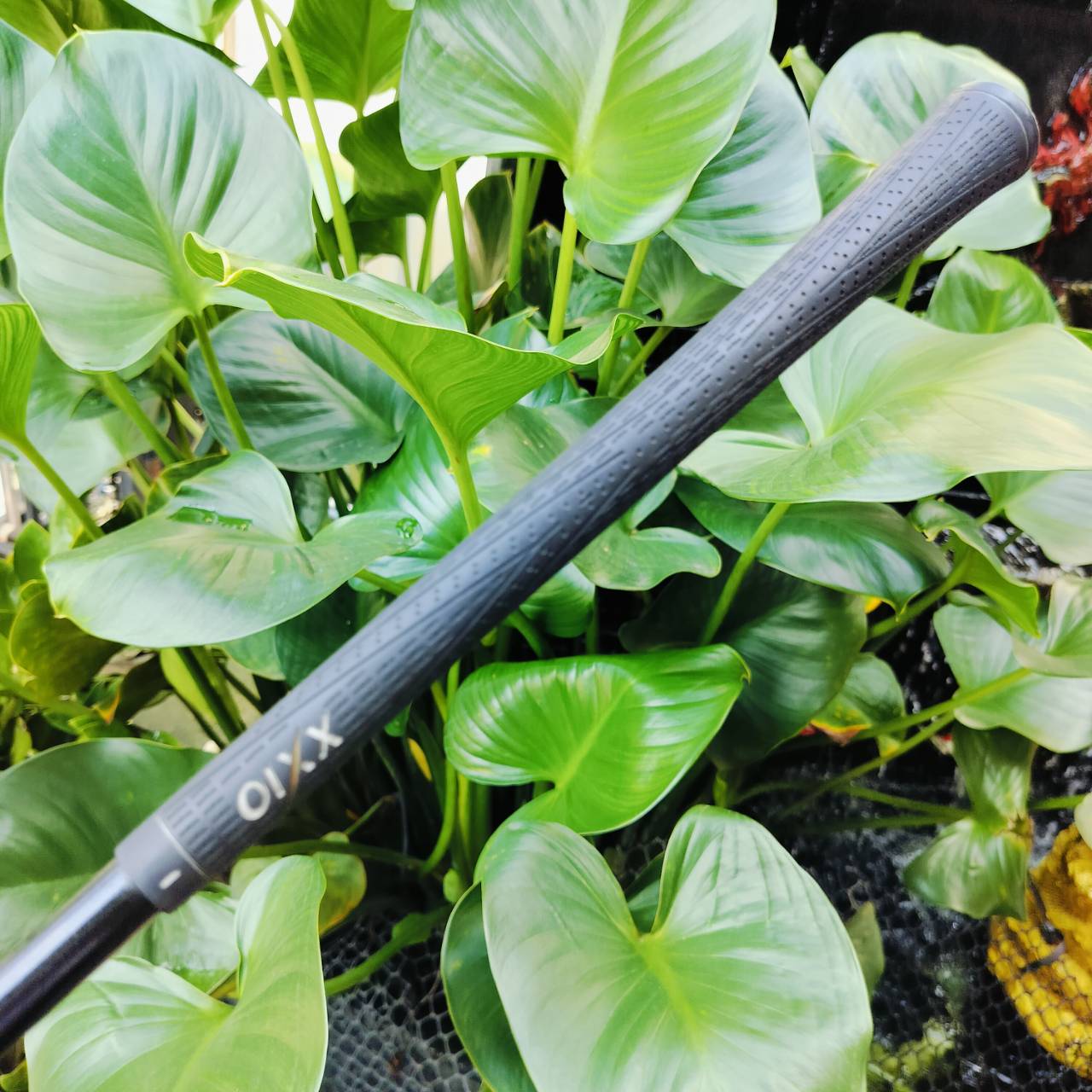 เหล็ก 9 XXIO หน้าเด้ง!!! IMPACT POWER BODY ก้าน XXIO MP300 FLEX R เหล็กขึ้นกรีนตีไกลตีง่ายมากค่ะ ร่องลึก ตกหยุดๆด้วย ตีดีมากๆ ไม้กอล์ฟพรีเมี่ยมมือสอง ของแท้ By NakaraLuxurious