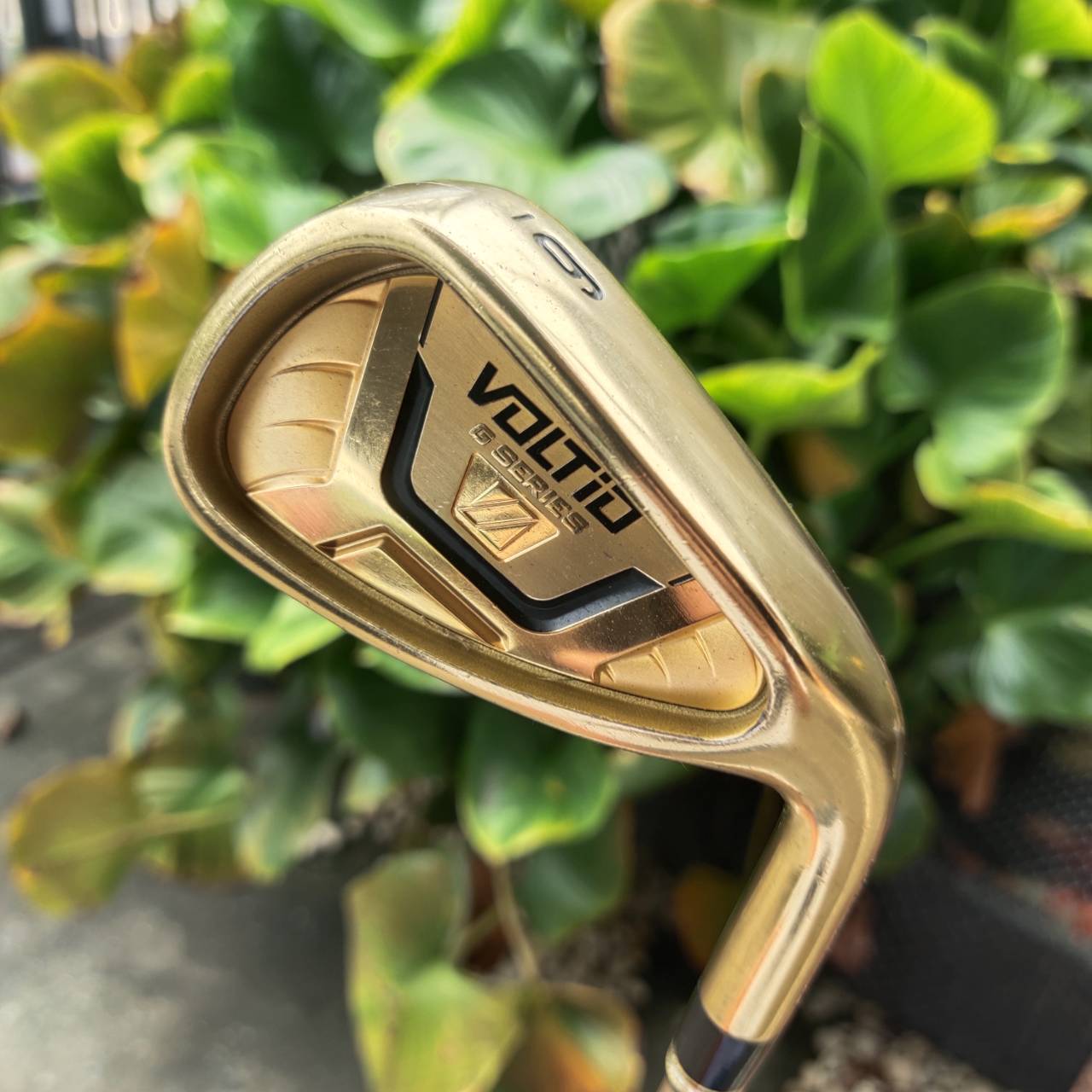 Katana Voltio IV G Series II ราคาของใหม่เกือบแสน!!! ตีไกลที่สุด หรูหรา ซุปเปอร์พรีเมี่ยมญี่ปุ่น