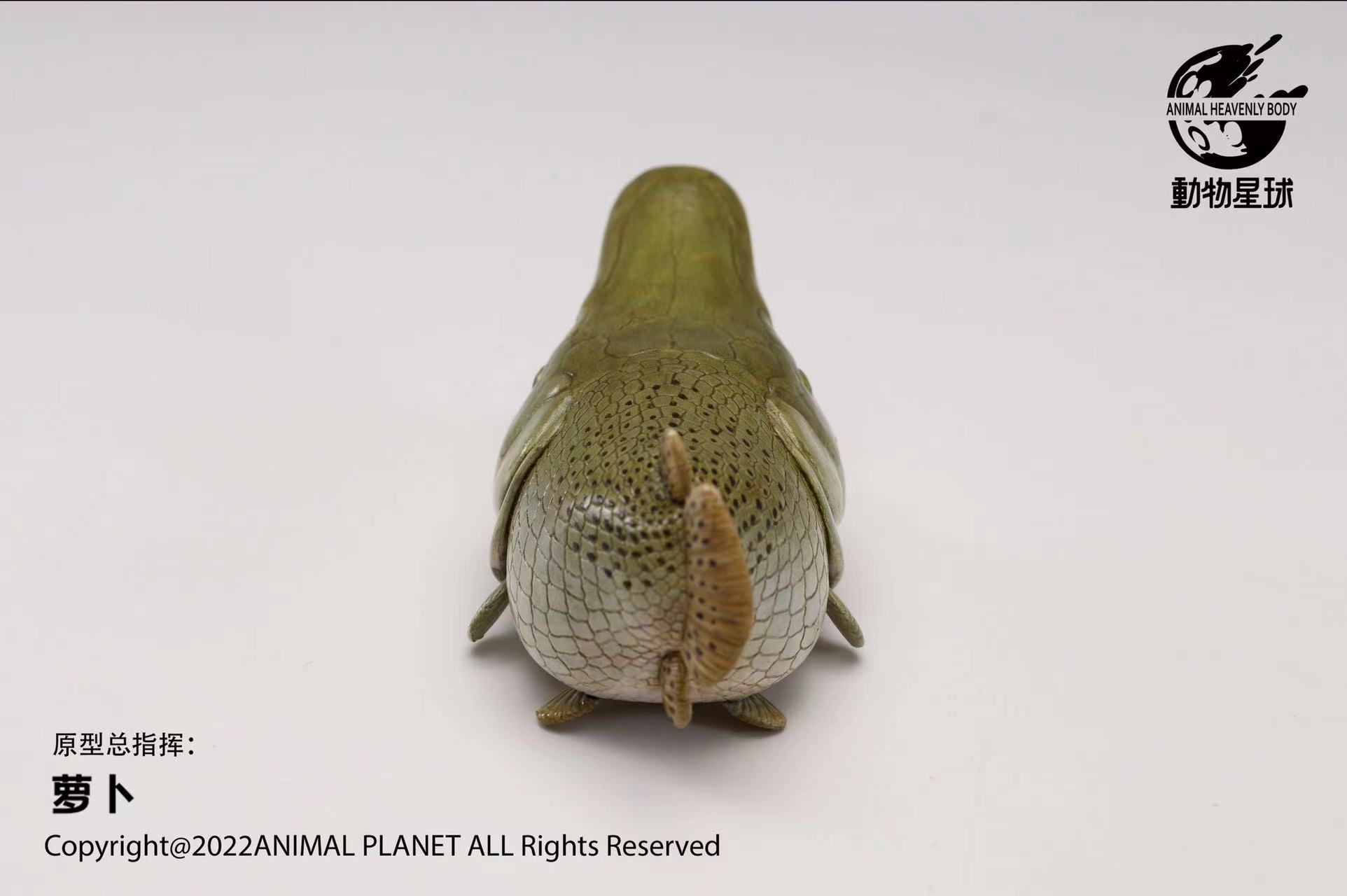 [สั่งจอง]Animal Planet : Alligator Gar