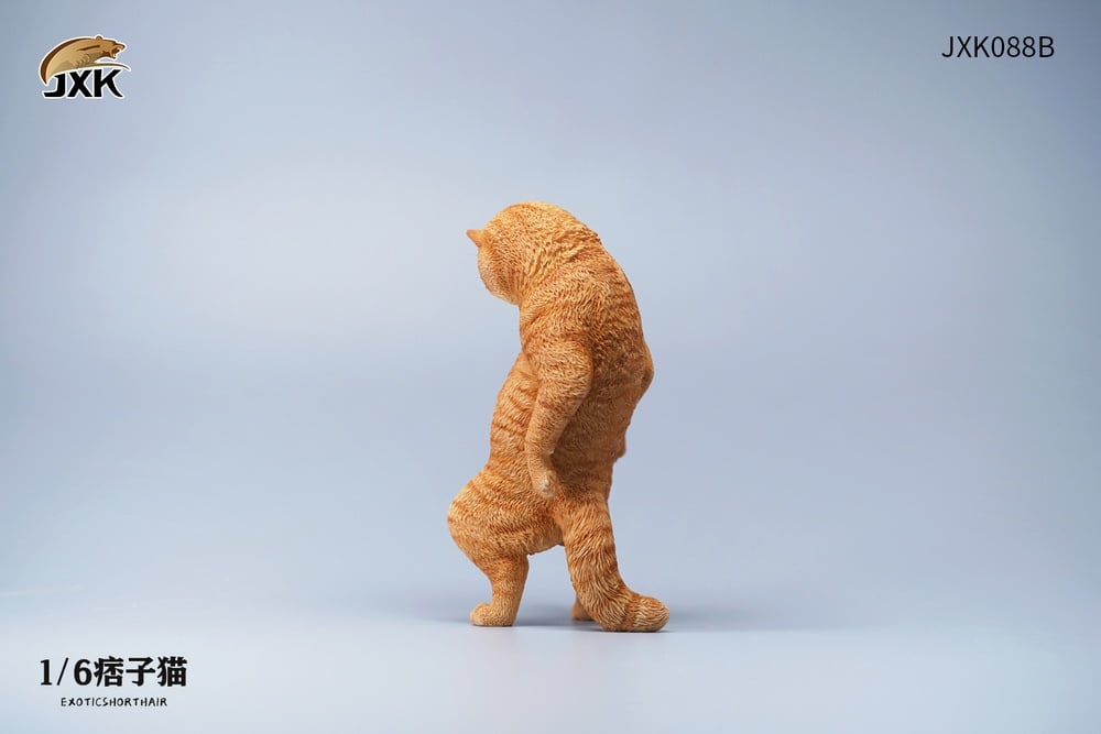 [สั่งจอง]JXK JXK088 1/6 : Exoticshorthair