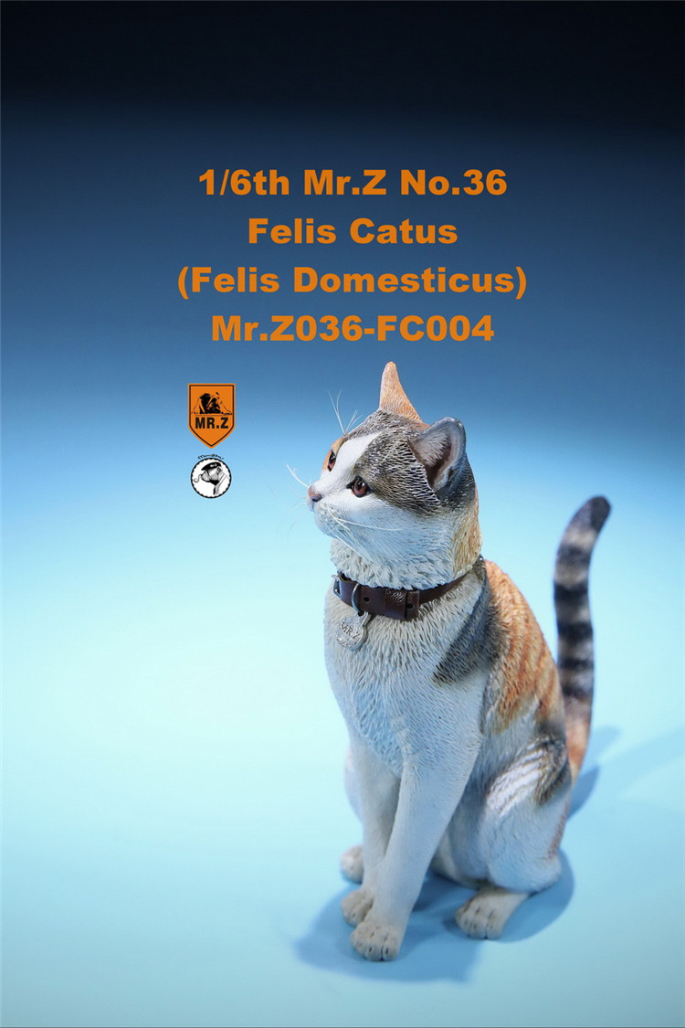 [สั่งจอง] Mr. Z Animal Model No.36: 1/6 Figure Felis Catus