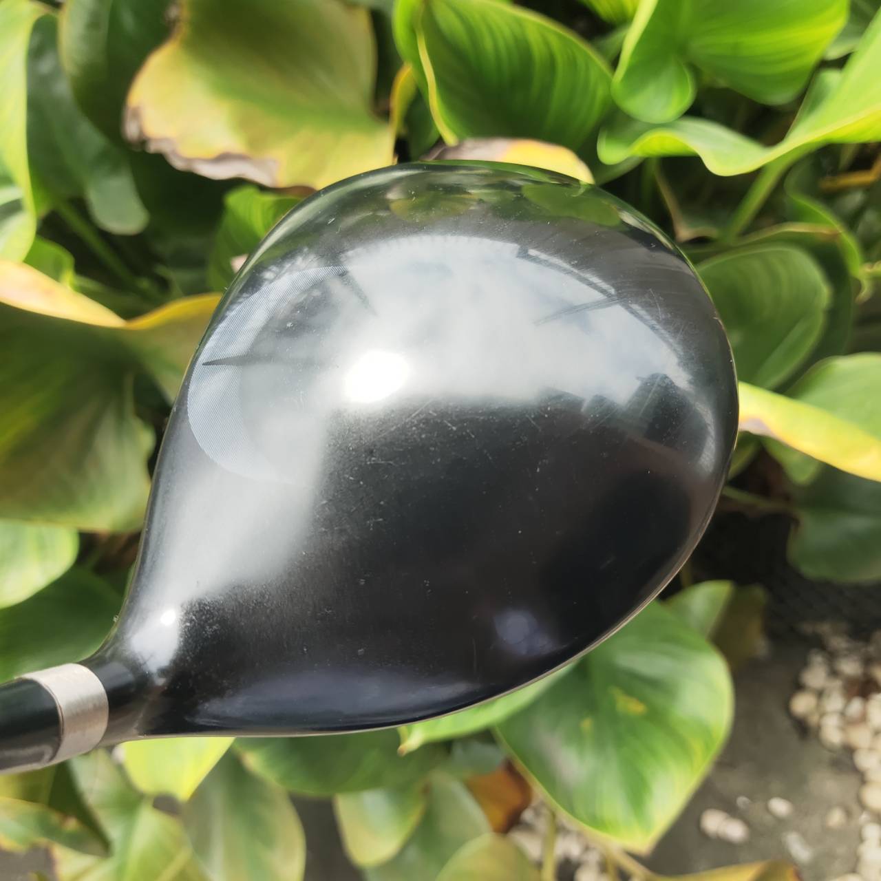 Driver PING G2 ตีดีมาก ตีง่าย ตีไกลแน่นอน!!! ก้าน GRAPHITE DESIGND PERSHING 45R