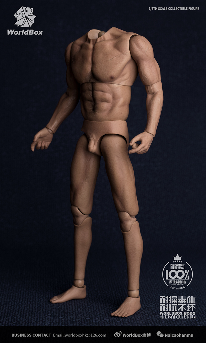 [สั่งจอง]WorldBox AT017 Features of the1/6th scale body universal body to head