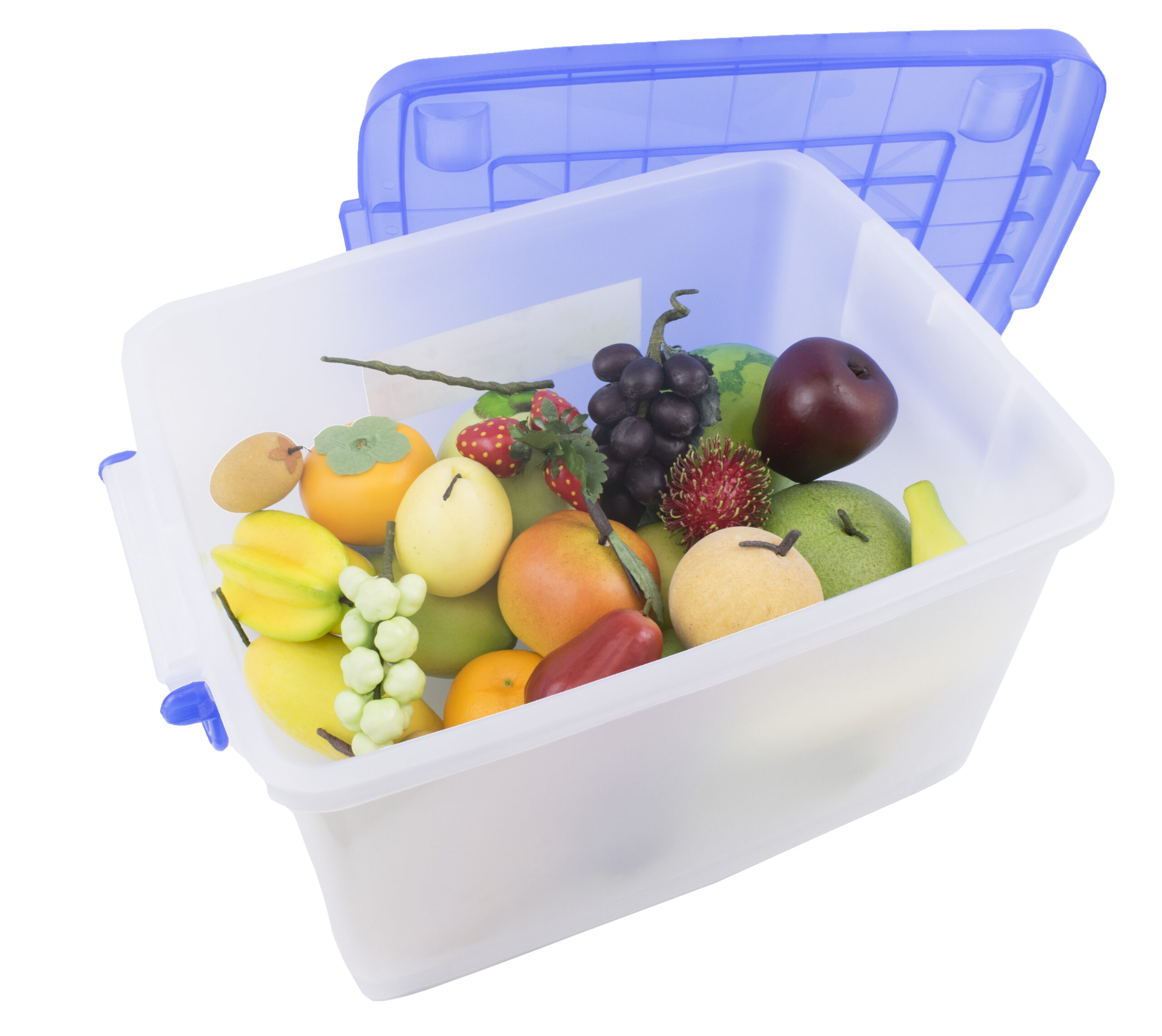 ผลไม้จำลอง 25 ชนิด , ของเล่นเสริมพัฒนาการ, ของเล่นเด็กอนุบาล, สื่อการสอนเด็กอนุบาล วัสดุและสี ปลอดภัยต่อเด็ก มีมาตรฐาน มอก. ตามที่ สพฐ. กำหนด