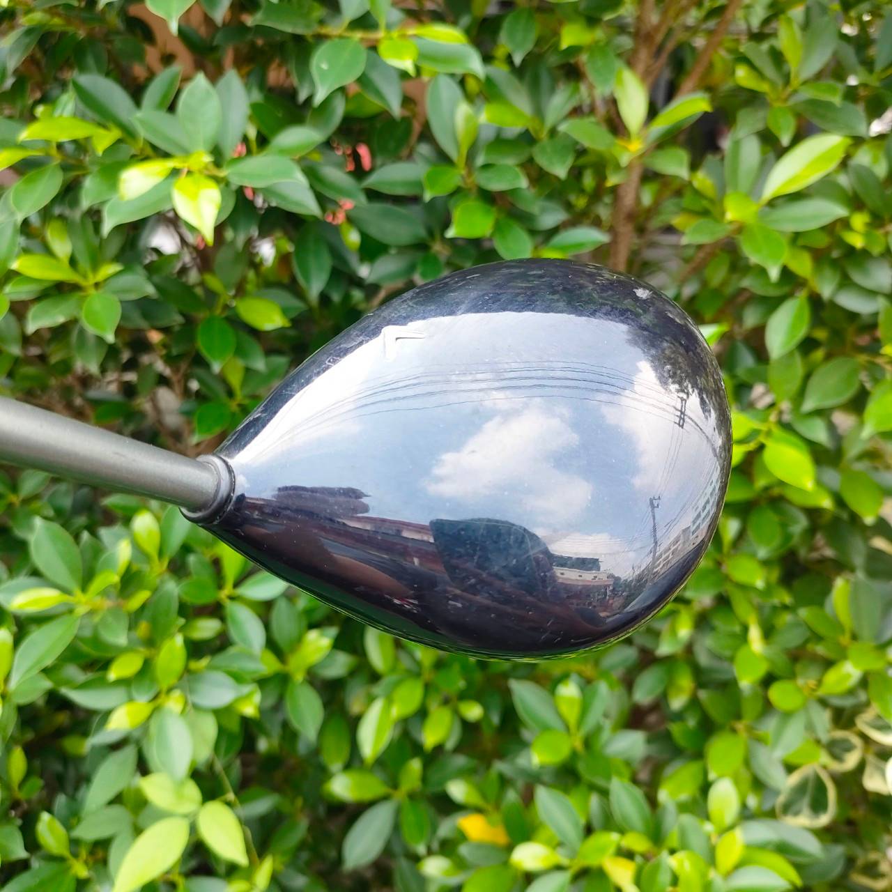 DRIVER CALLWAY BIG BERTHA STEELHEAD PLUS องศา 9 ก้าน STEELHEAD PLUS FLEX FIRM สภาพสวยมากครับ