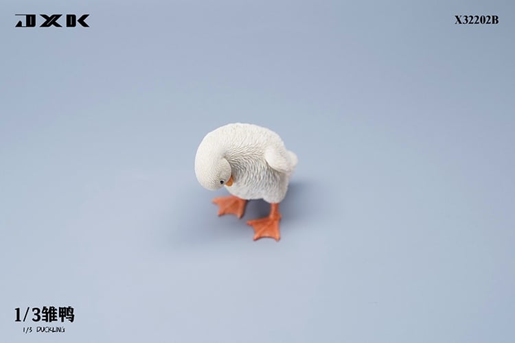 [สั่งจอง]JXK : Scottish Fold/Chckling/Duckling