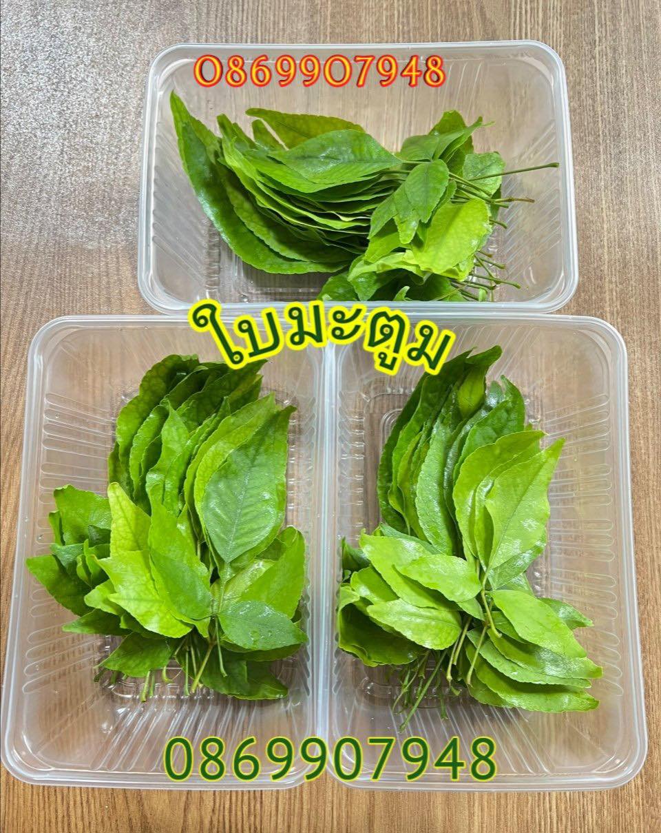 ใบไม้มงคล (พิธี)