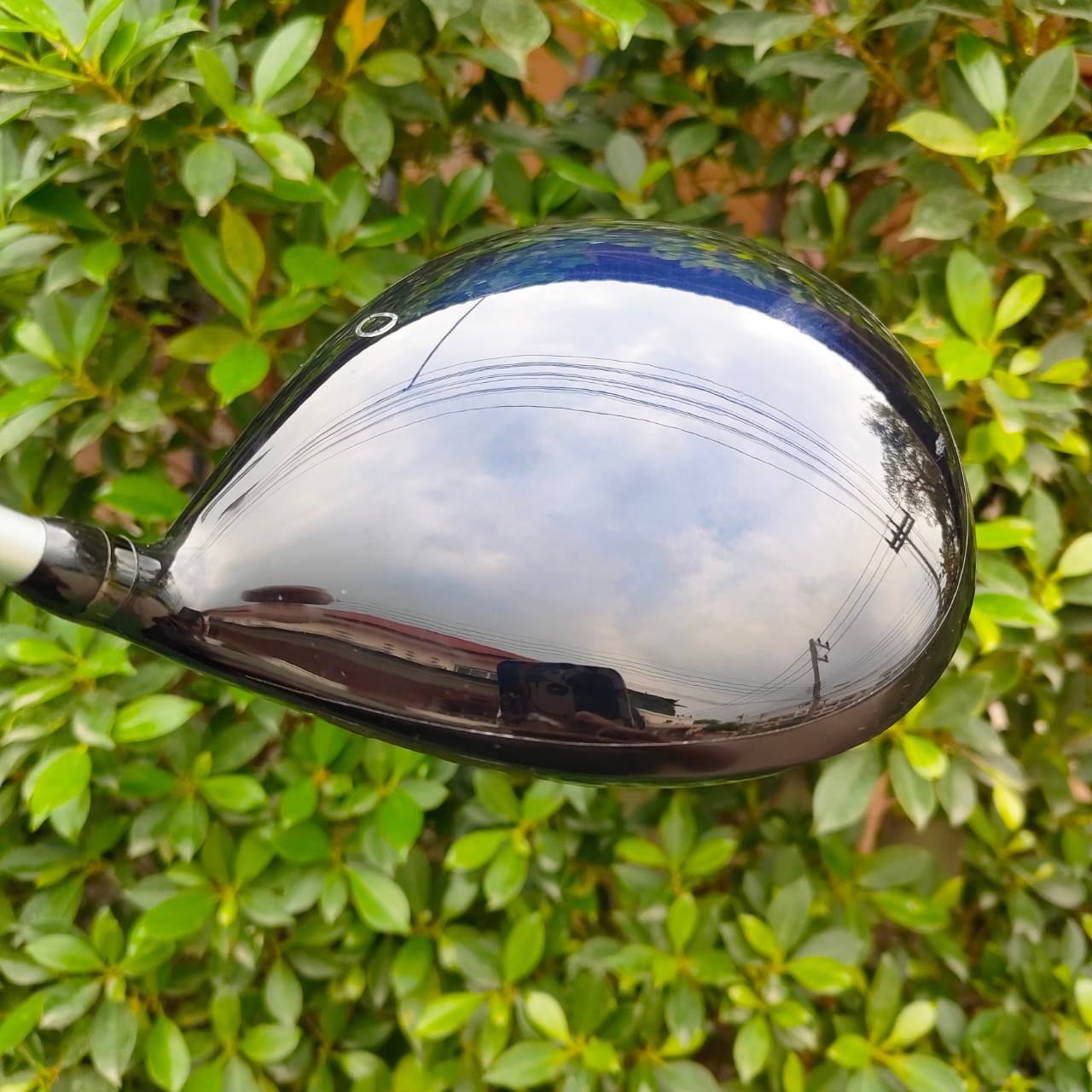 DRIVER PRGR EGG BIRD องศา 9.5 ก้าน EGG PRGR M-43 FLEX SHAFT สภาพสวยเดิม พรีเมี่ยมญี่ปุ่น