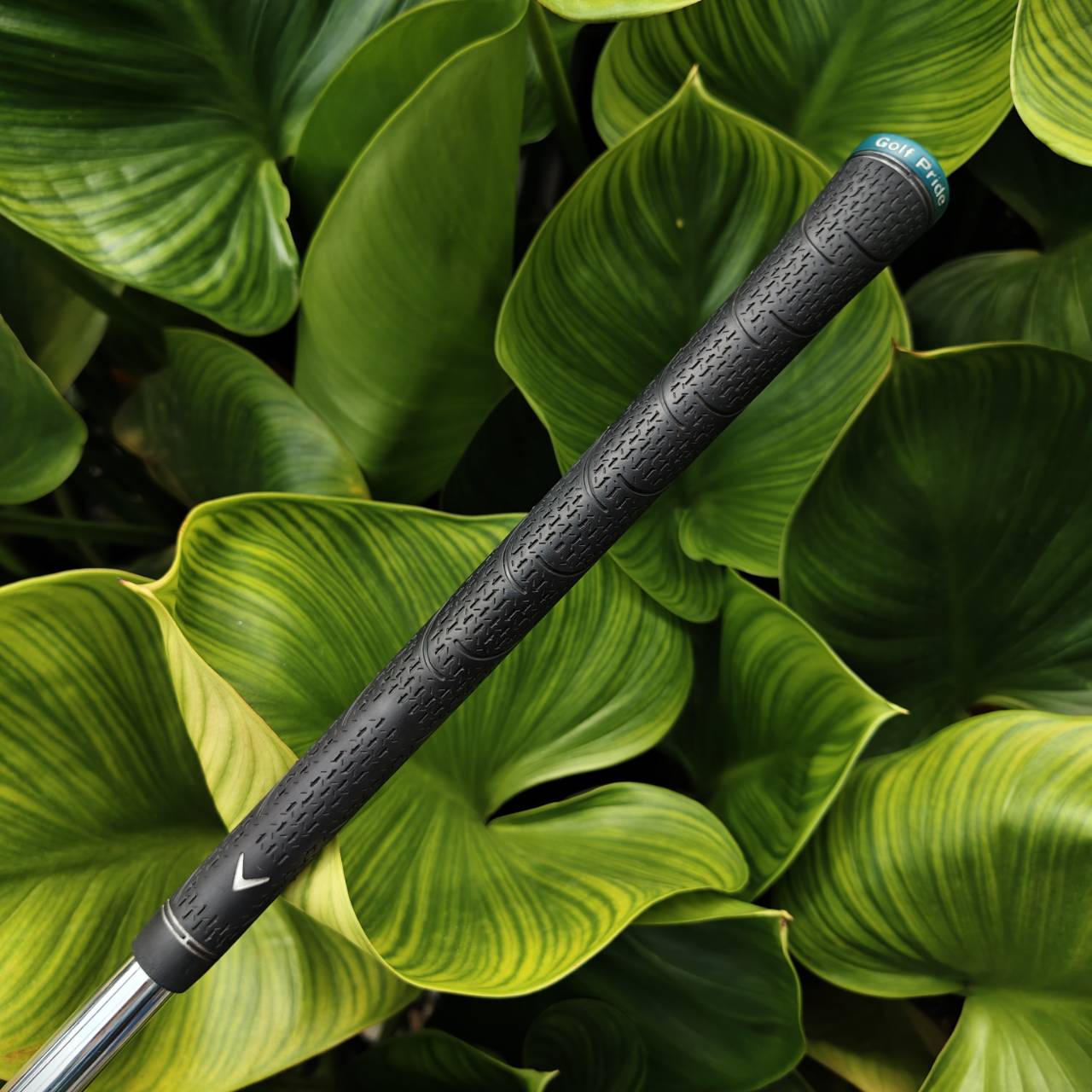 PW Callaway Rogue Star หน้าเหล็กบางพิเศษ สร้างระยะได้สูงมาก