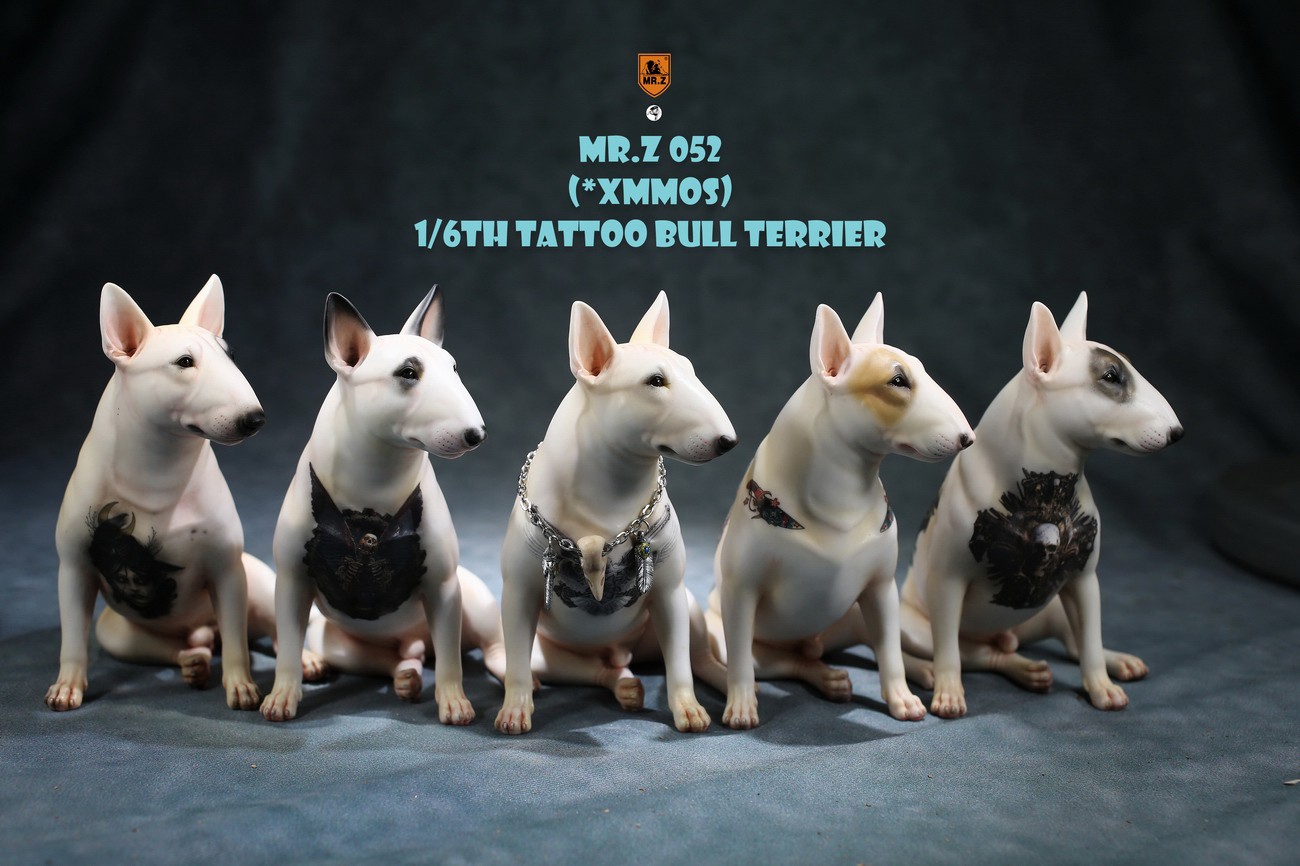[สั่งจอง]MR. Z MRZ052 1/6 : Animal Model TATTOO BULL TERRIER