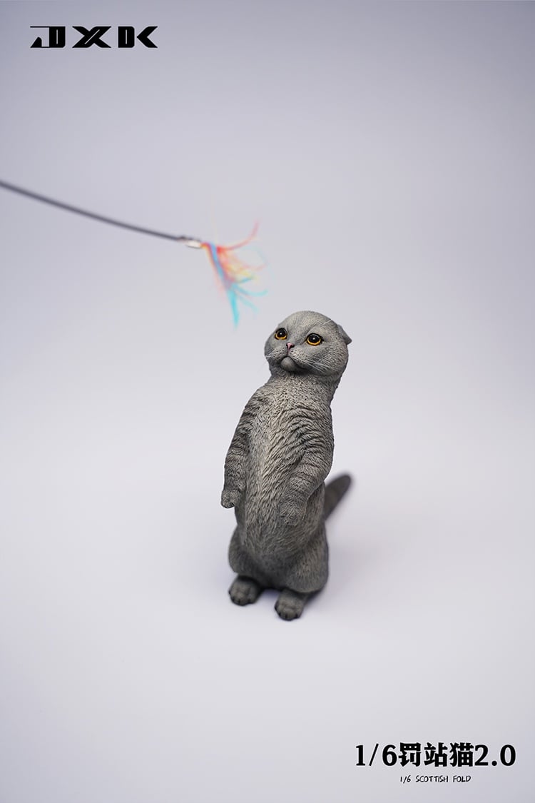 [สั่งจอง]JXK : Scottish Fold/Chckling/Duckling