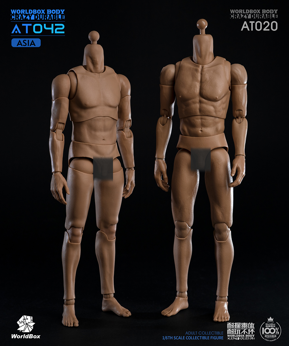 [สั่งจอง]Worldbox AT042 1/6 : Durable Body