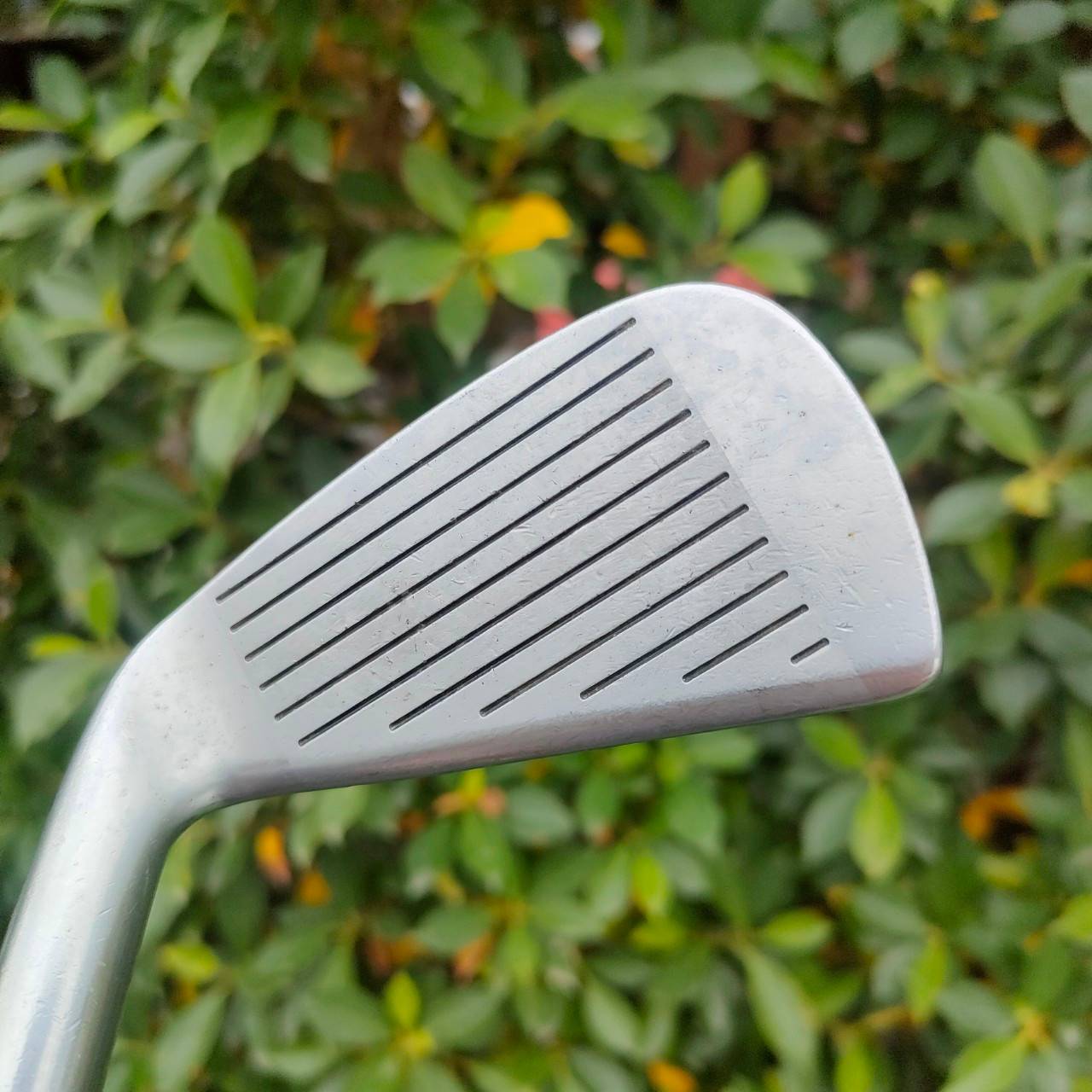 ชุดเหล็ก HONMA CL-505 มีเหล็ก 3-10 ก้าน BORON NEW -VIO FLEX R-1