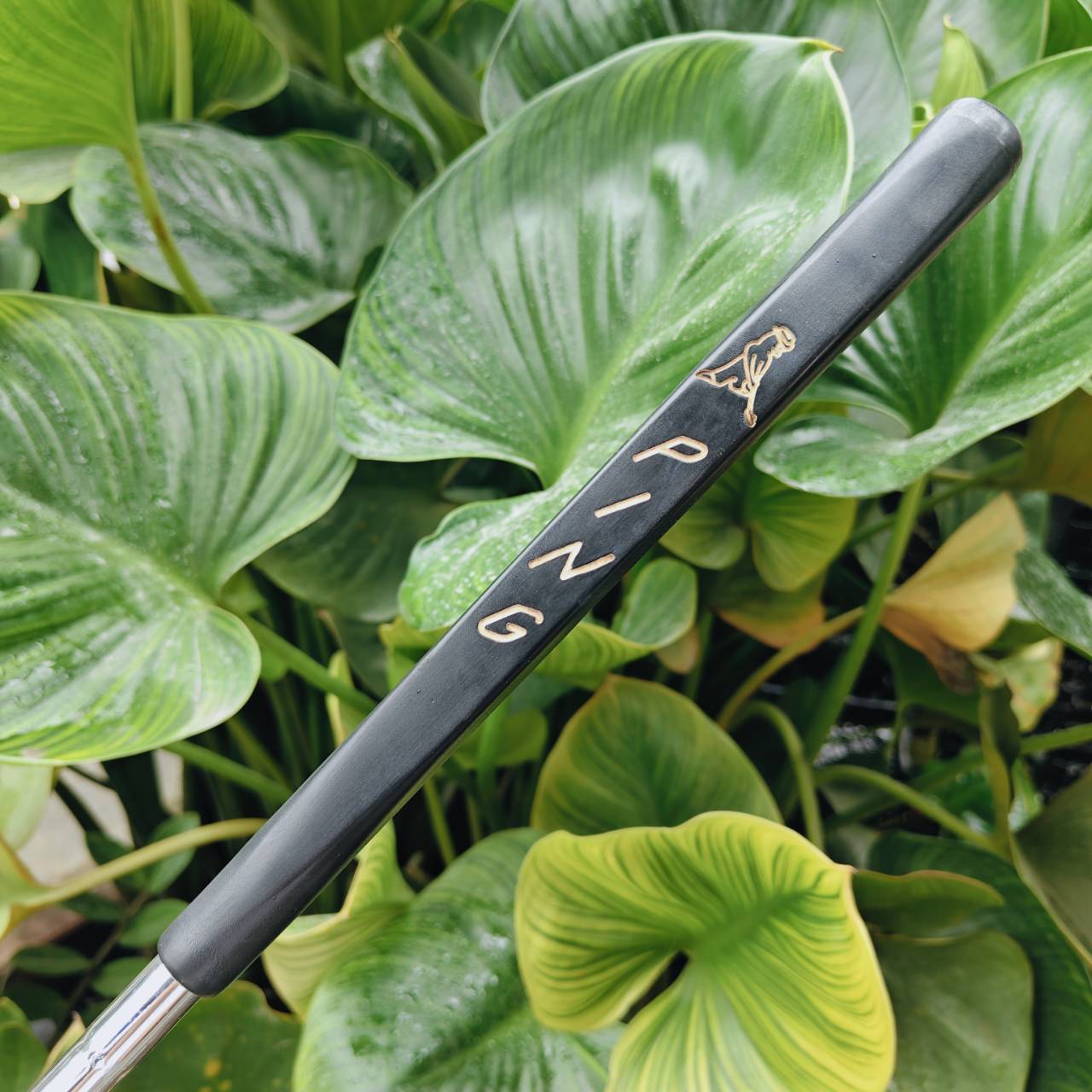 PING iSO-PUR 2 Putter พัตเตอร์ระดับตำนานจาก PING 🇺🇸 ที่ขึ้นชื่อเรื่อง “ฟีลนุ่มและบาลานซ์เยี่ยม”