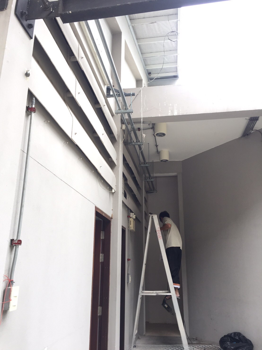 งานติดตาข่ายกันนก ตึกกายวิทยาทาน มหาวิทยาลัยมหิดล