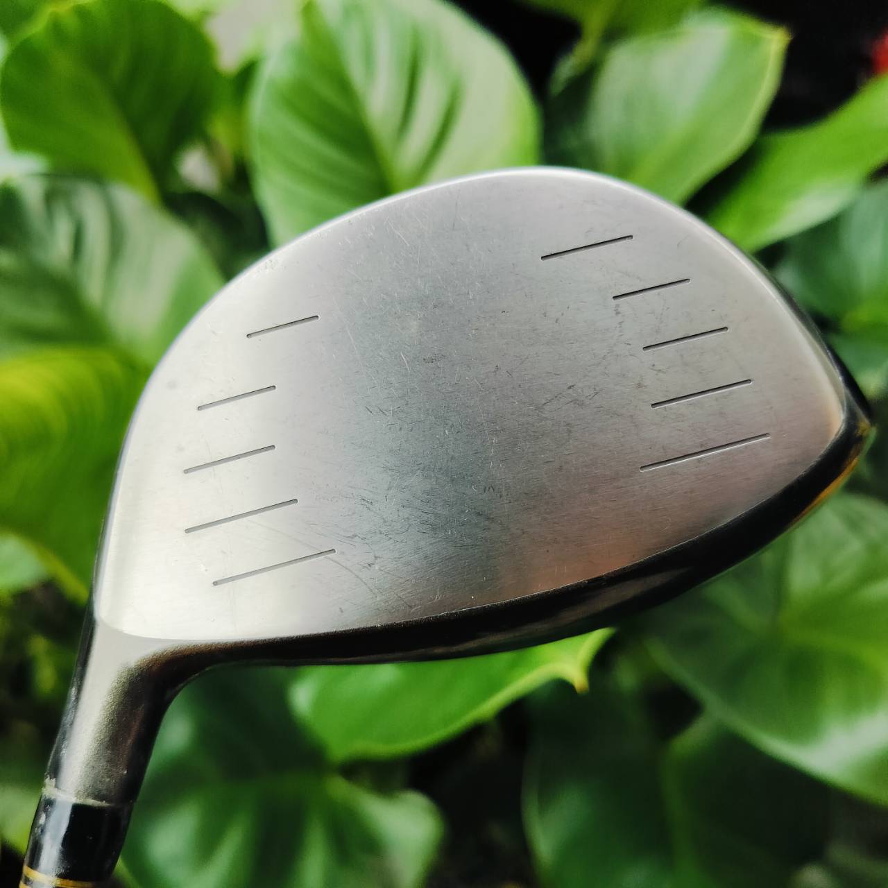 Driver MIZUNO E300 องศา 10 ก้านเด็ด!!! PROJECT X HZRDUS 5.5 เป็นหัว SUPER STRONG FORGED TITANIUM และหน้าเด้ง HIGH C.O.R. ตีไกลมากกก ไม้กอล์ฟพรีเมี่ยมมือสอง ของแท้ By NakaraLuxurious