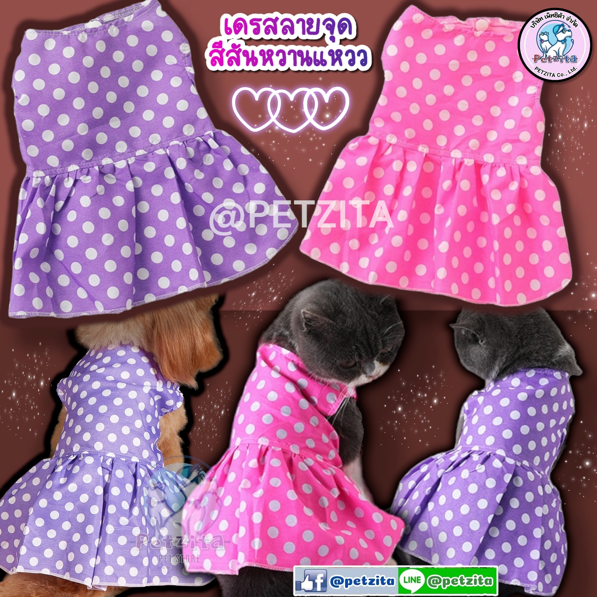 🇹🇭พร้อมส่ง🇹🇭💥👗 เดรสลายจุด สีสันหวานแหวว น่ารักสุดๆ for pet สุนัข หมา แมว🐶🐱🐰💕