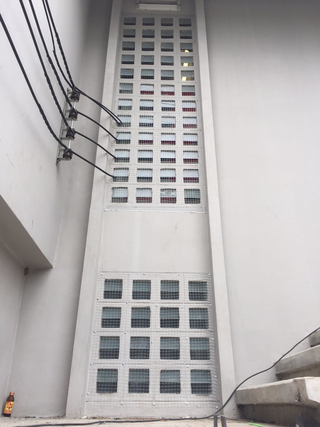 งานติดตาข่ายกันนก ตึกกายวิทยาทาน มหาวิทยาลัยมหิดล