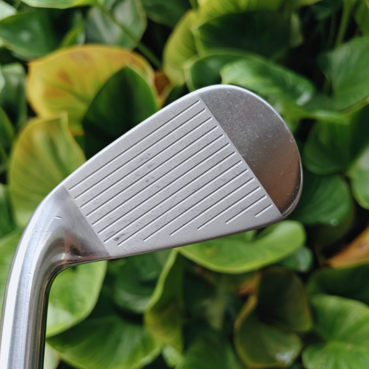 เหล็ก 6 Titleist T300 | ก้าน FUJIKURA MCI FLEX S | ประสิทธิภาพสูง ตีไกล ตรงทุกช็อต ⛳️