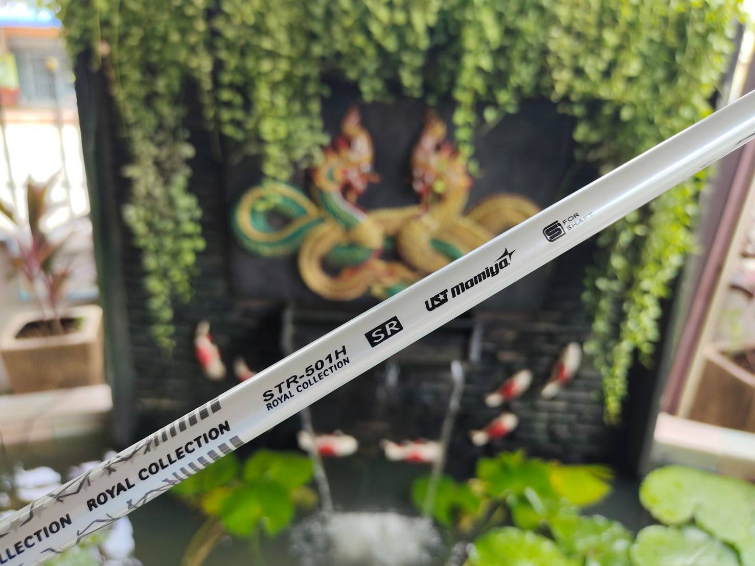 UT 4 Royal Collection