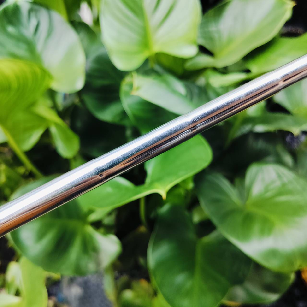 PUTTER COUGAR TAIWAN ความยาว 36 นิ้ว กริพแบบนุ่มใหญ่ SUPER STROKE ไม้กอล์ฟพรีเมี่ยมมือสอง ของแท้ By NakaraLuxurious