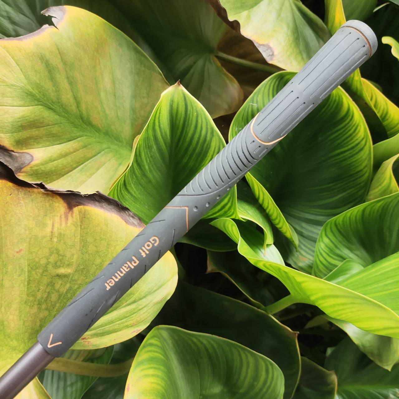 ไม้กอล์ฟผู้หญิงครบชุด Golf Planner *เป๊กถุงกอล์ฟหลุกสองจุด* ถุงกอล์ฟหนังแท้สุดคลาสสิคอย่างดี