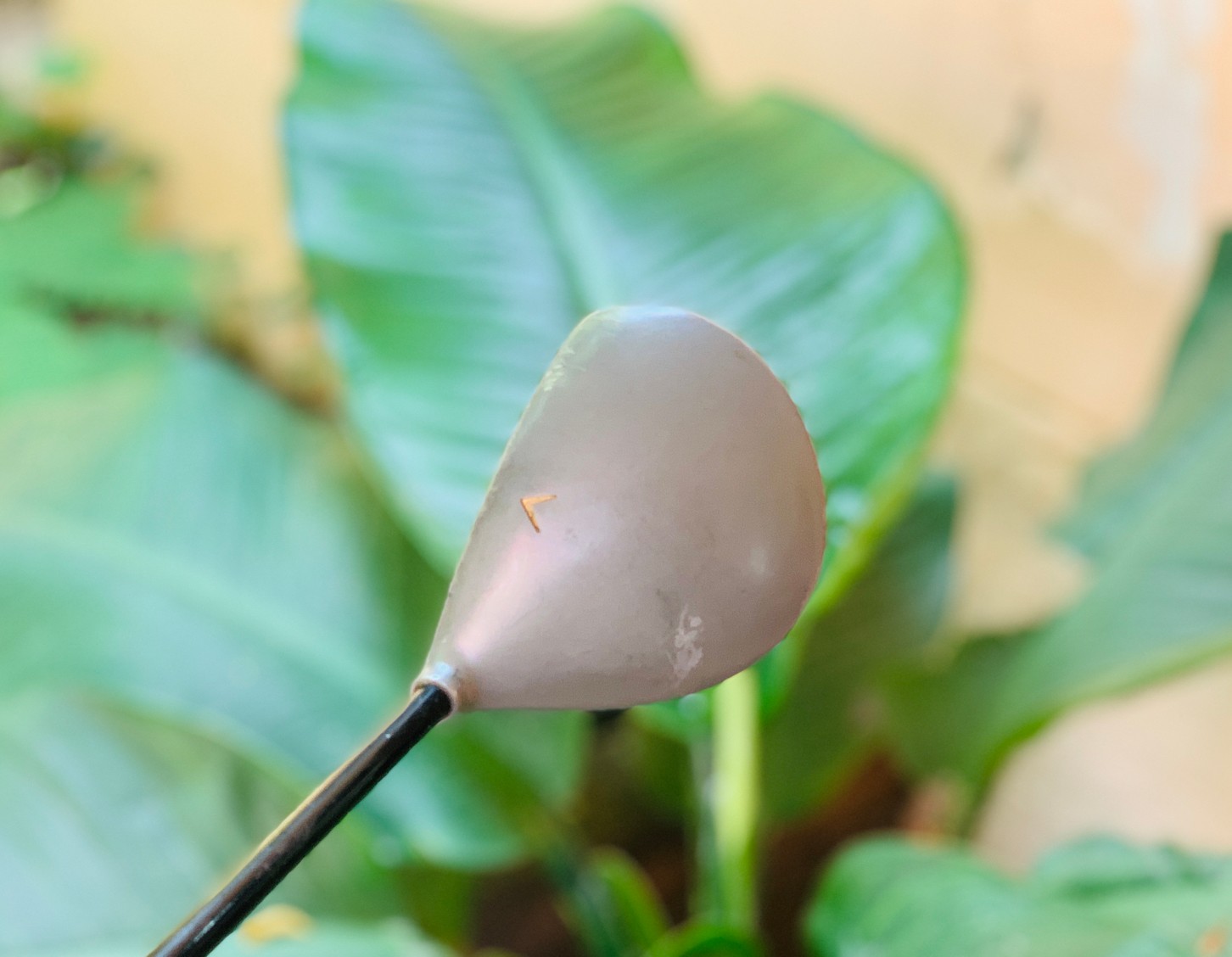 FAIRWAY 3 TRIDENT WIDE BODY องศา15