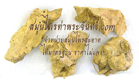 ข้าวเย็นใต้แห้ง ( 500กรัม - 1กิโล ) / ( 500g - 1kg ) สมุนไพรท่าพระจันทร์
