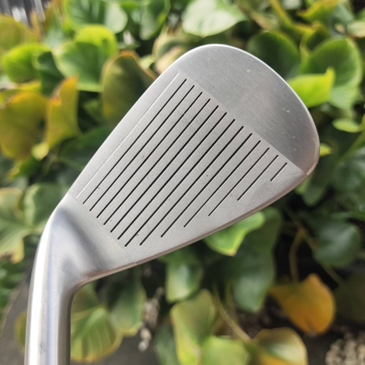 เหล็ก 7 PGM VCT3 ตีตรง ตีง่าย ลูกลอยไว เหมาะกับนักกอล์ฟที่อยากอัพเกมเหล็ก!