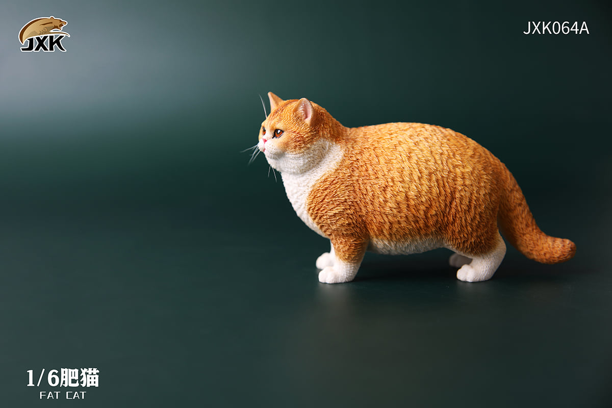 [สั่งจอง]JXK JXK064 1/6 : Fat Cat