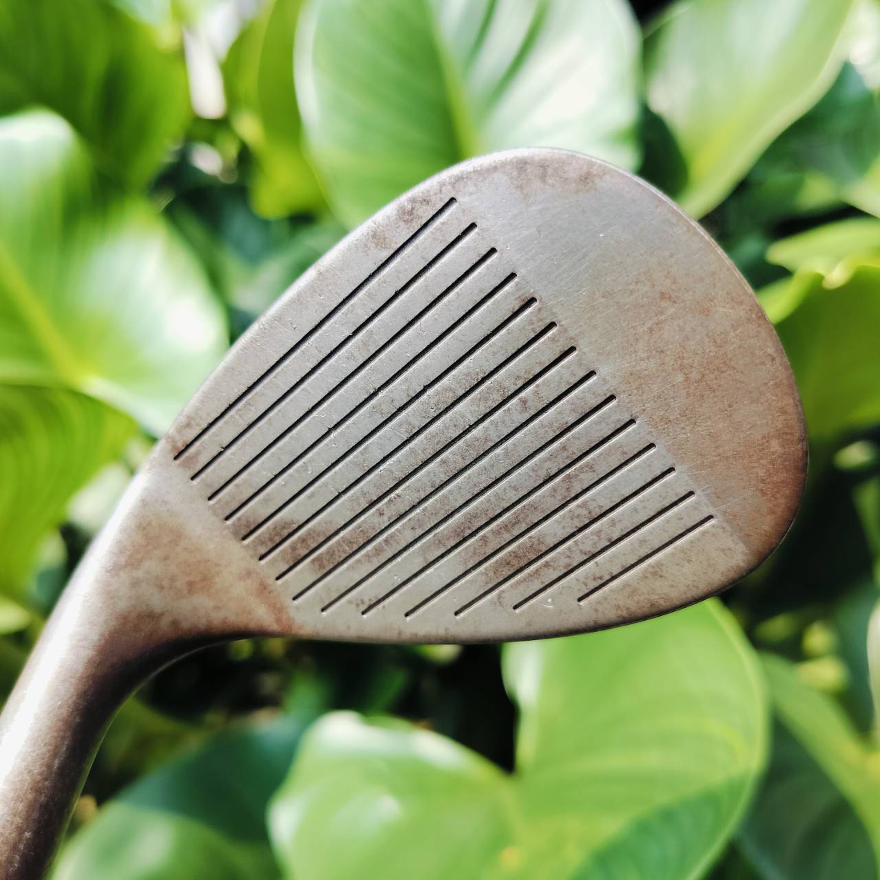 WEDGE CLEVELAND TOUR ACTION 900 องศา 58 รุ่นสนิม ไม่เคลือบ ได้ฟีลลิ่งแน่น นุ่ม ร่องหน้าไม้ทำงานได้เต็มประสิทธิภาพ สปินจัด ตีตกหยุด แม่นยำ ของดีมาก ไม้กอล์ฟพรีเมี่ยมมือสอง ของแท้ By NakaraLuxurious