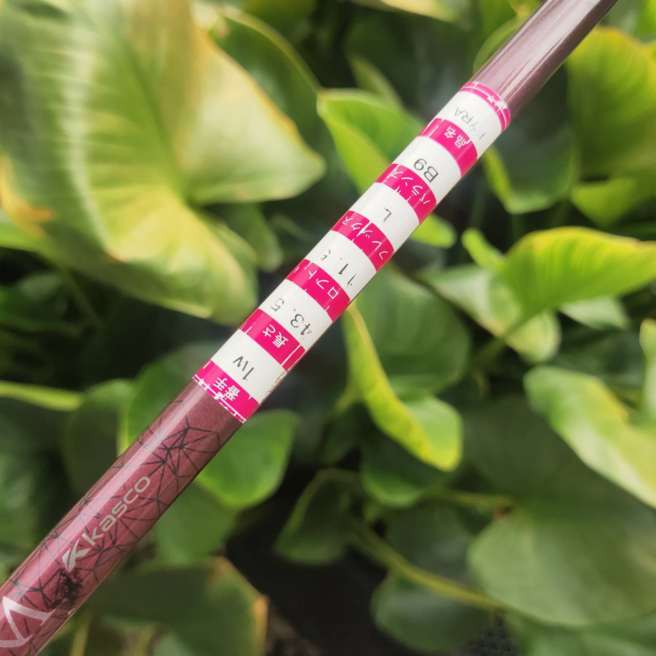 KASCO D-MAX PYRA LADY 11.5° Driver สำหรับคุณผู้หญิงที่อยากตีไกลขึ้นแบบ effortless!