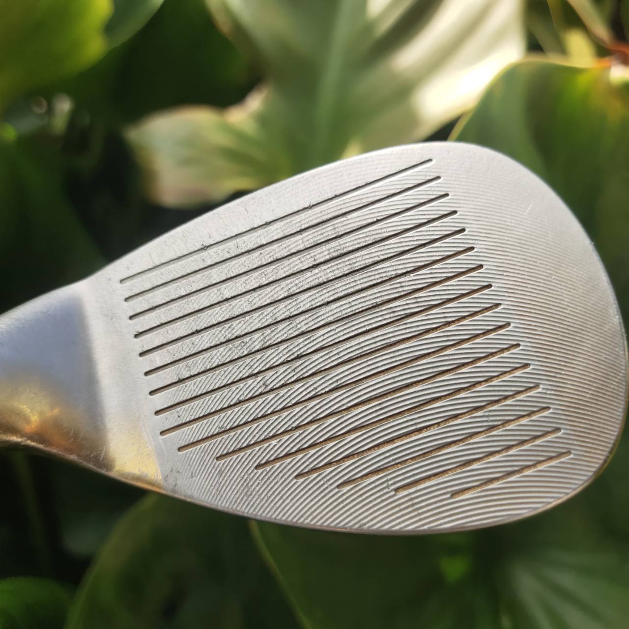 WEDGE EXCEED GOLD องศา 54 หน้าตะไบ ตกหยุดถอยๆ โหดมาก!!! วัสดุพรีเมี่ยม สีทอง สวยงามและหรูหรามาก!!!