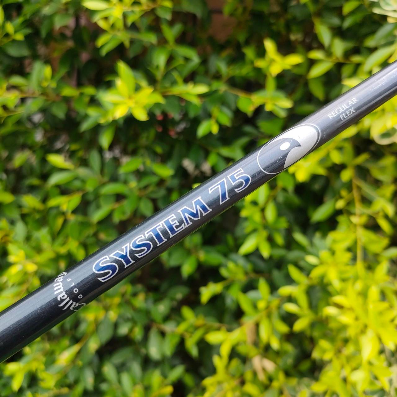 เหล็ก4 CALLAWAY HAWK EYE VFT ก้าน SYTEM 75 FLEX R เป็นตัวท๊อปสุดๆของแบรนด์ Callaway รุ่นนี้ตีไฟแล๊บ เหล็กยาวตีง่ายสุดๆ ตีง่ายเท่าไฮบริดเลยครับรุ่นนี้